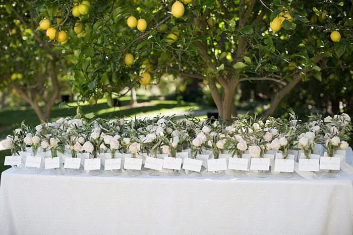 www.santabarbarawedding.com | Kristen Beinke | San Ysidro Ranch | Alexandra Kolendrianos | TOAST | Bella Vista Designs | Guests Table Assignments with Flowers