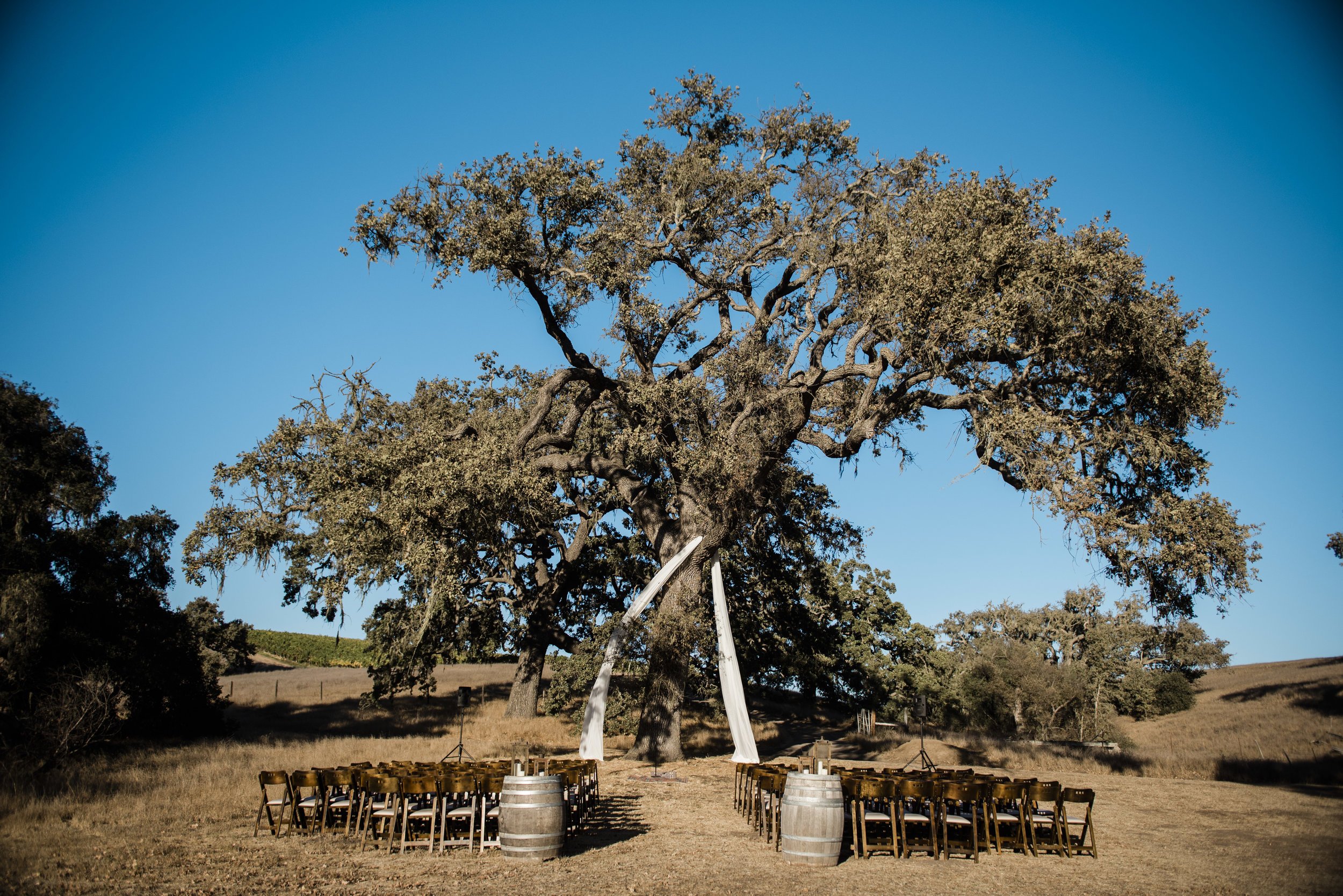 www.santabarbarawedding.com | ByCherry Photography | Gainey Vineyard | Revele Unlimited | Ceremony