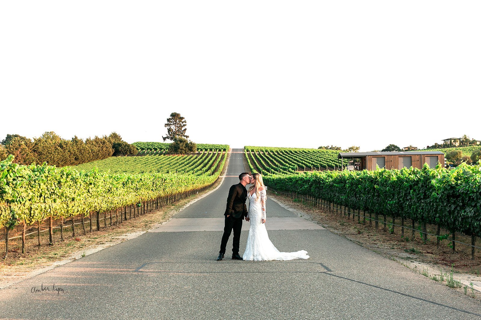 www.santabarbarawedding.com | Presqu'ile Winery | Amber Lynn Photography