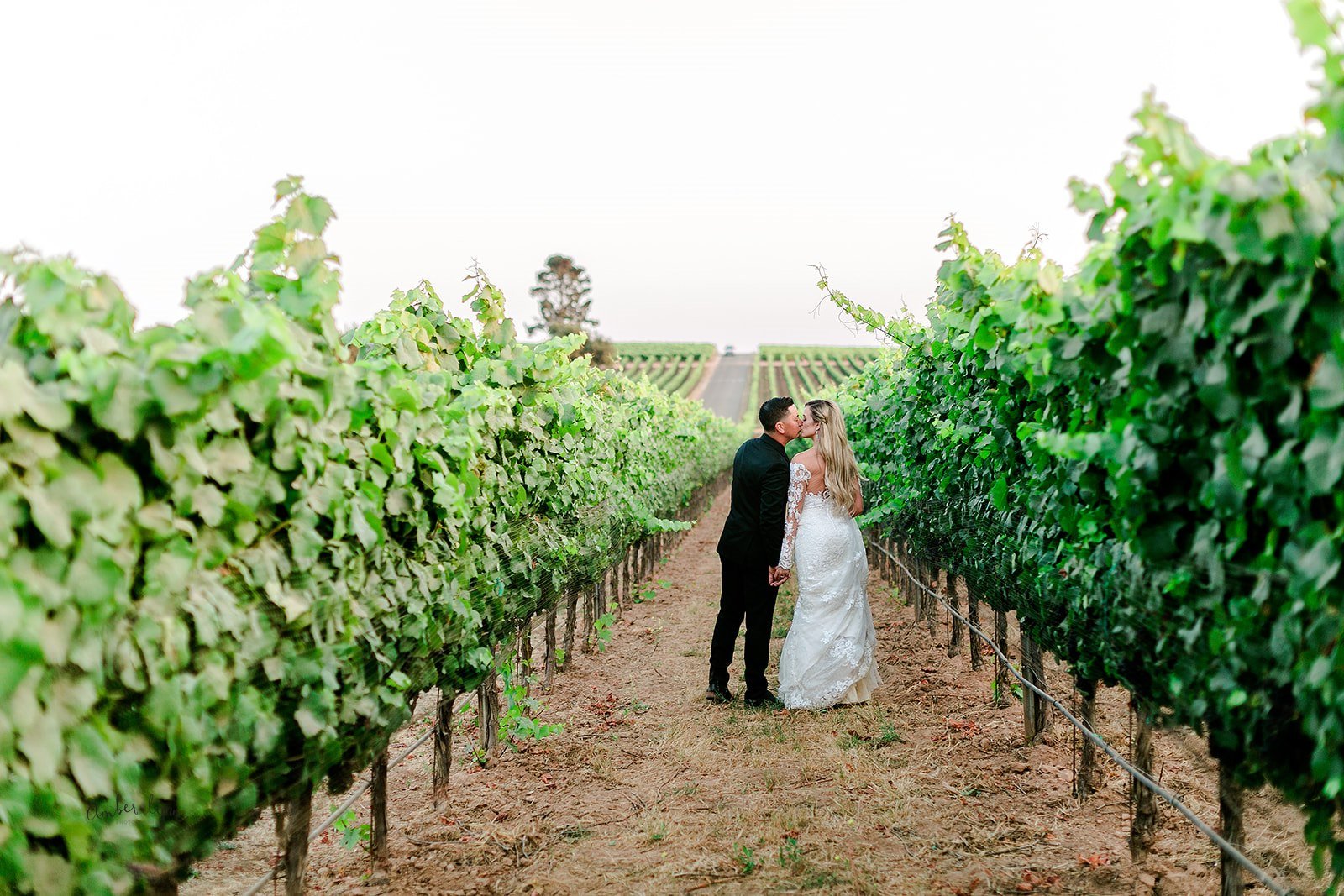 www.santabarbarawedding.com | Presqu'ile Winery | Amber Lynn Photography