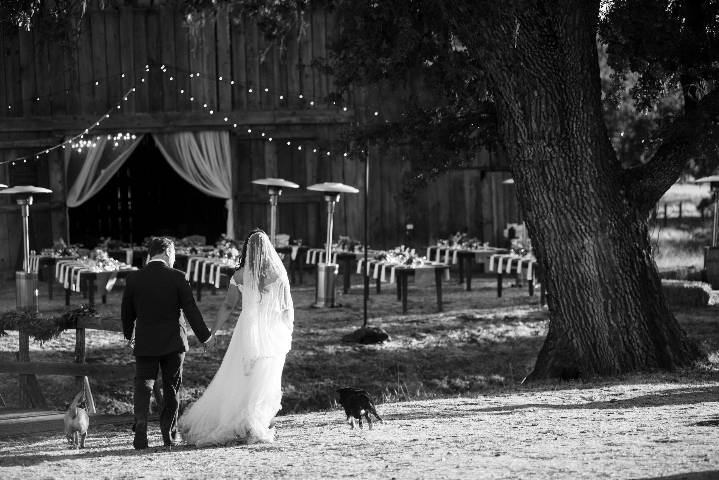 www.santabarbarawedding.com | The Barn at Gainey | By Cherry Photography