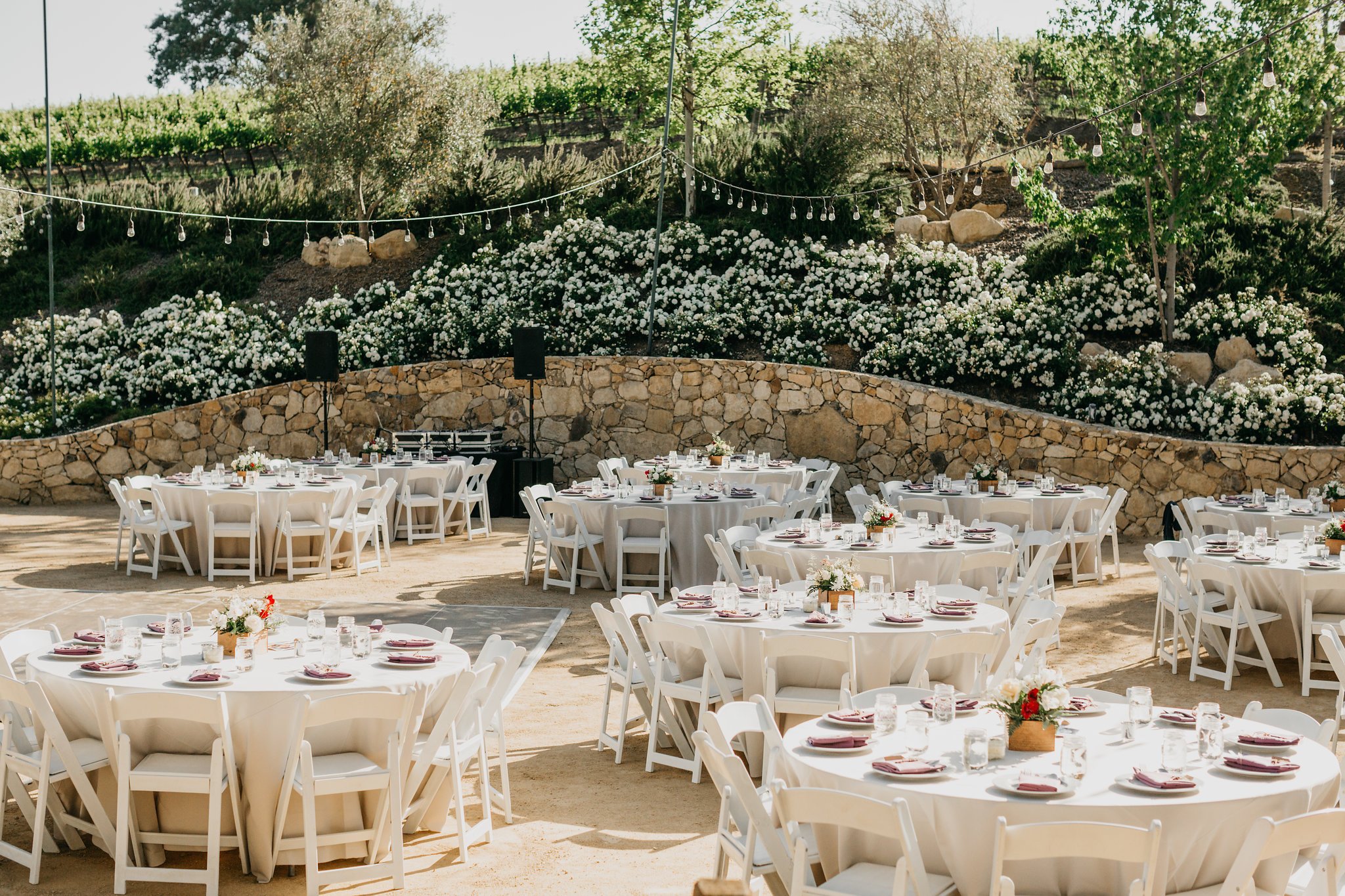 www.santabarbarawedding.com | Terra Mia Vineyard | Diana Lake Photography | Reception Tables