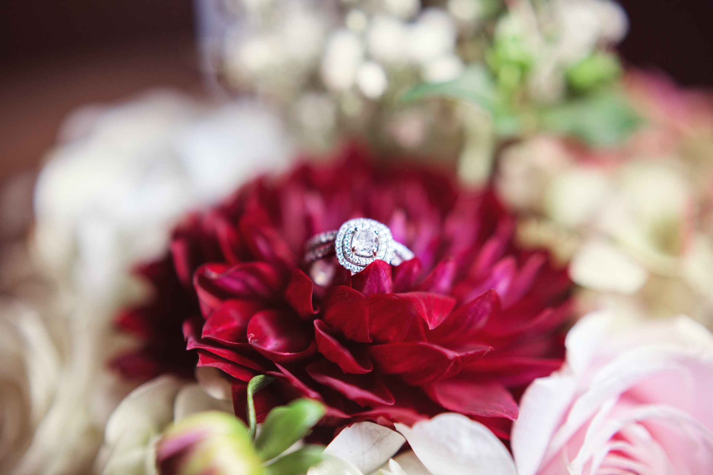 www.santabarbarawedding.com | Kay Mitchell Photography | Madonna Ranch | Wedding Rings