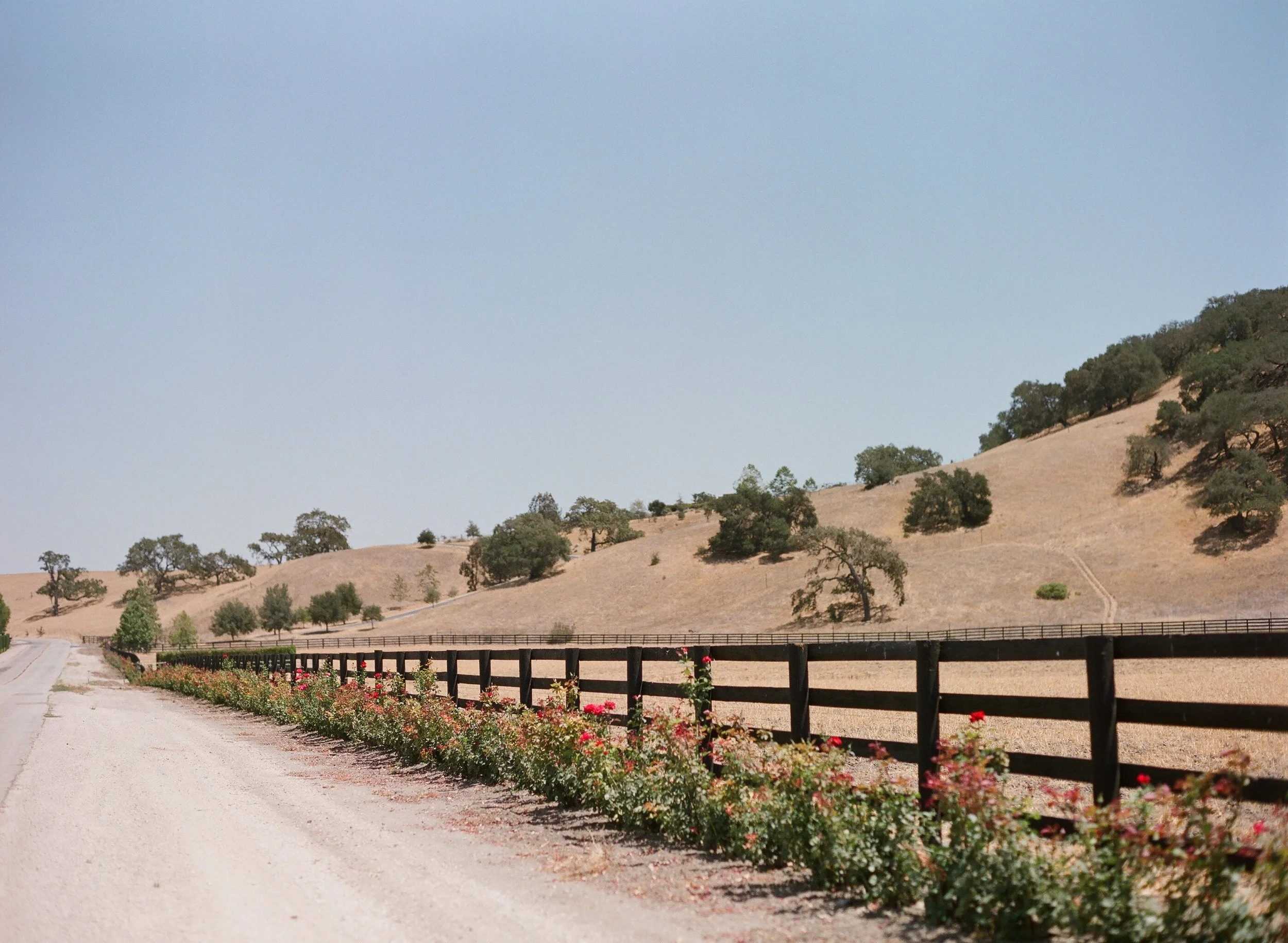 www.santabarbarawedding.com | Grassini Family Vineyards | Megan Sorel | Kristen Beinke