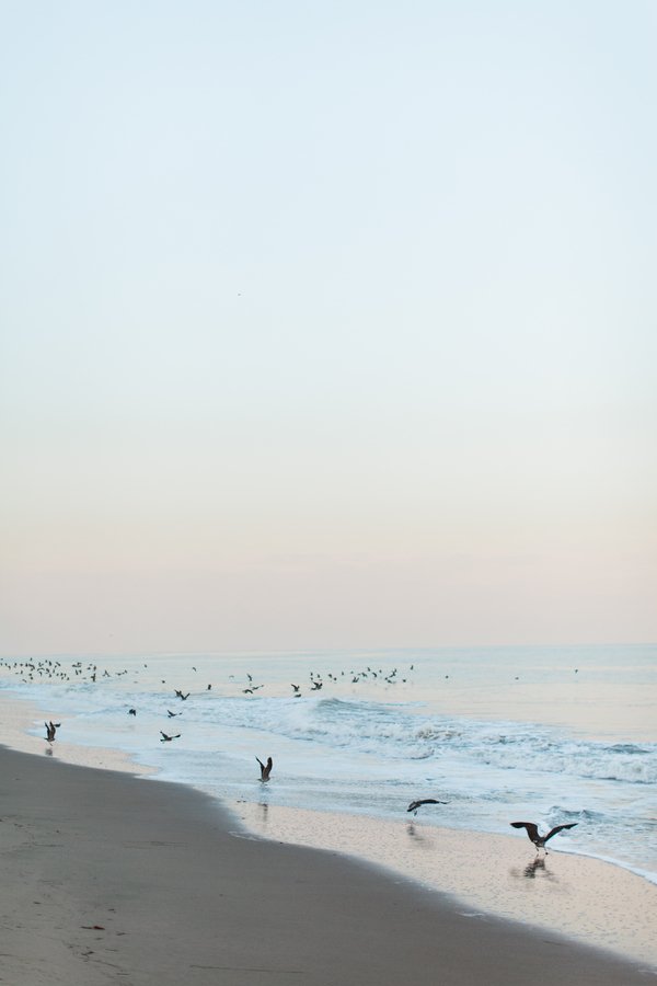 www.santabarbarawedding.com | Joni Bilderback Photography | Clairmont Farms | Gaviota State Park | Engagement Session