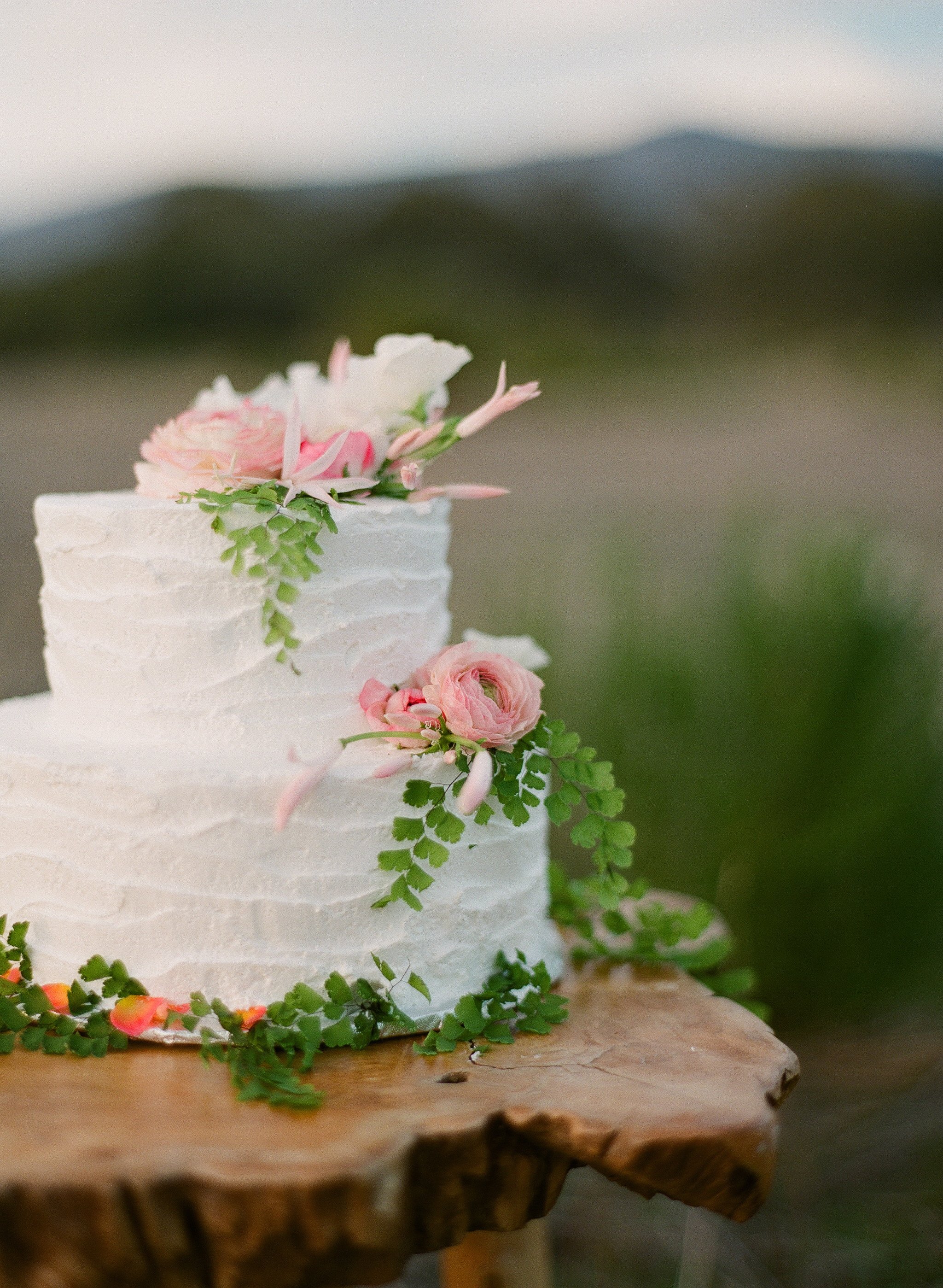 www.santabarbarawedding.com | Megan Sorel Photography | Wedding Cake