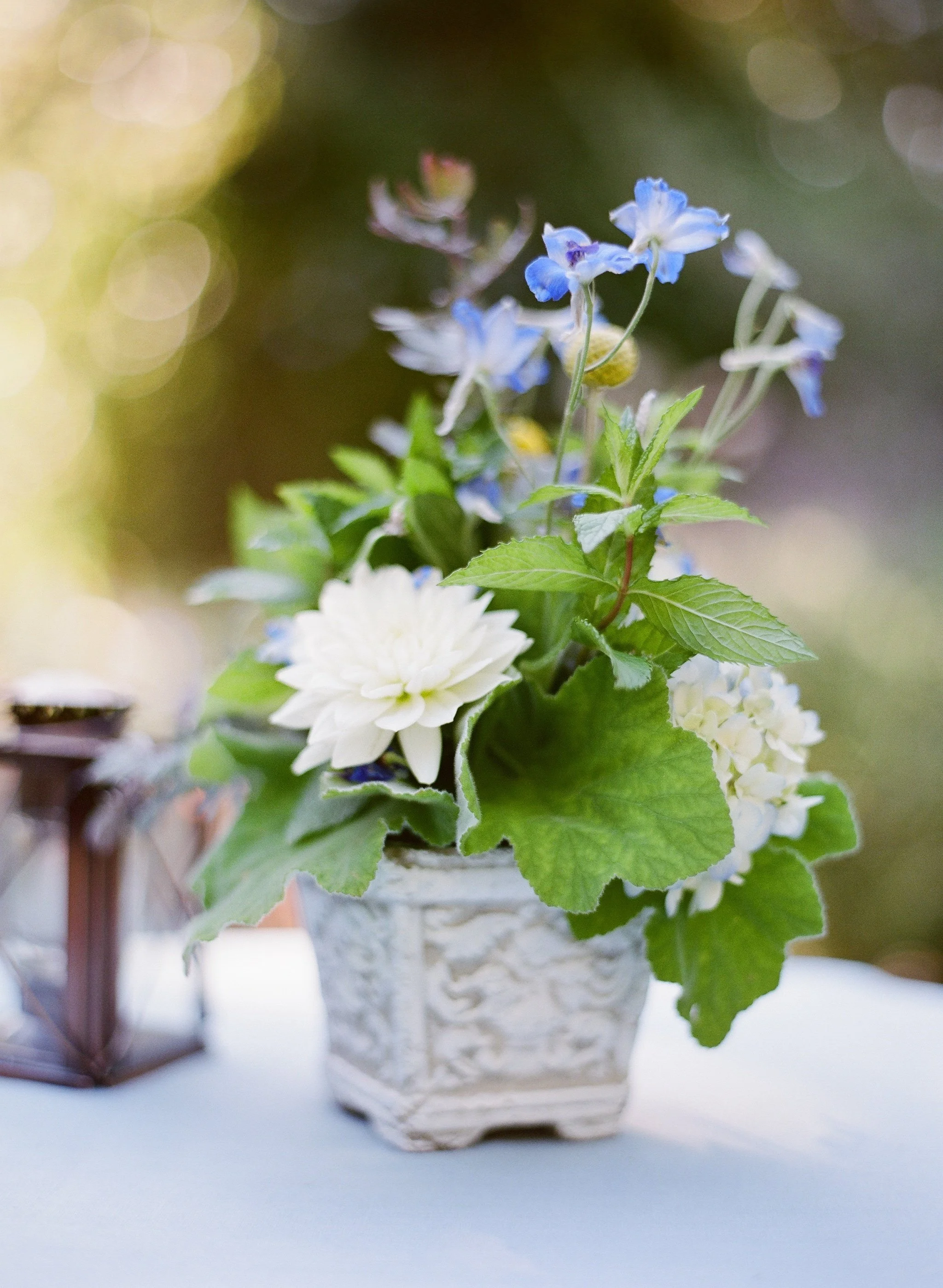 santabarbarawedding.com | Four Seasons Biltmore Wedding in Santa Barbara | Magnolia Event Design | Jose Villa