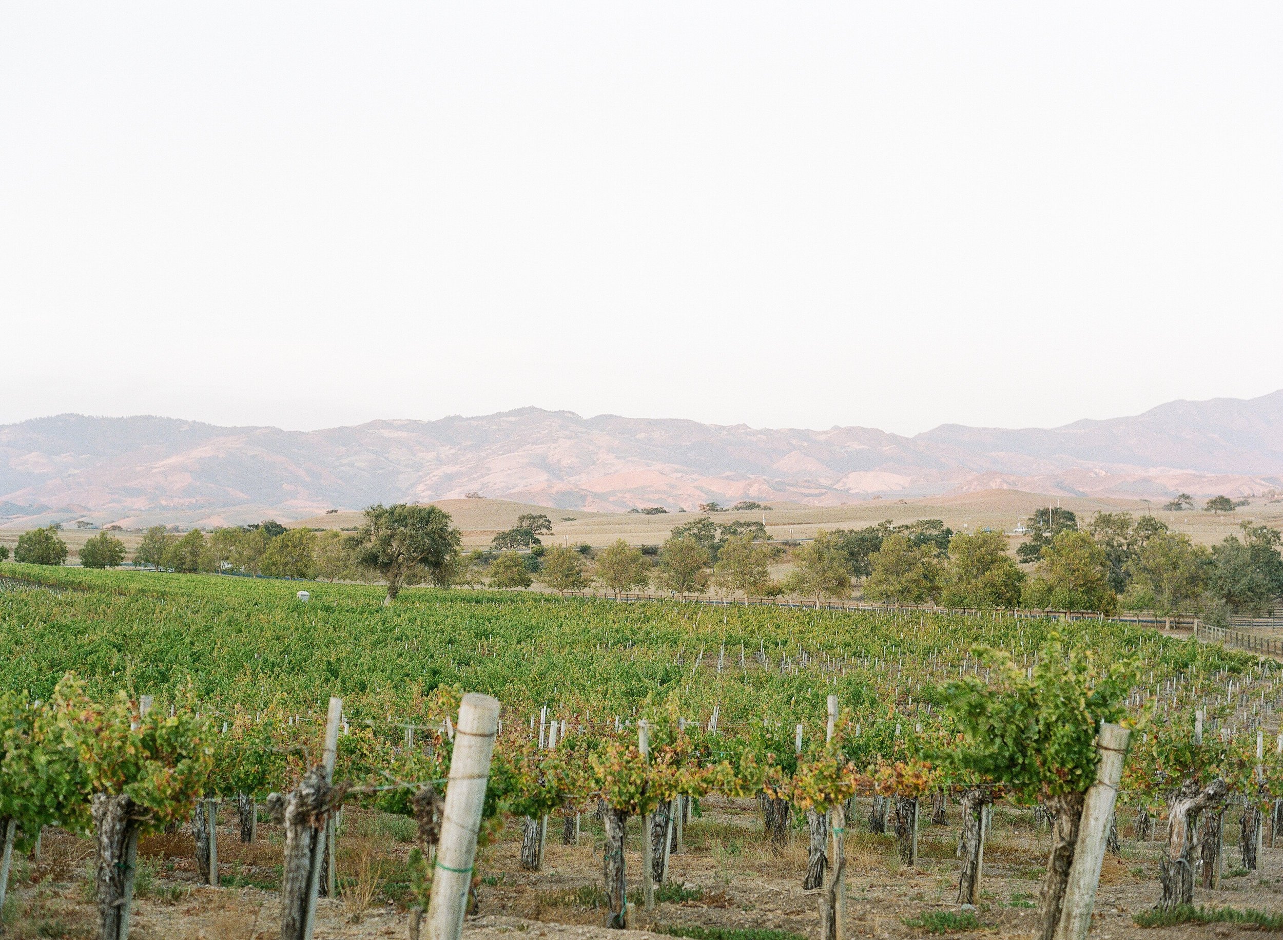 santabarbarawedding.com | Photo: Beaux Arts Photographie | Gainey Vineyard Santa Ynez Wedding Venue