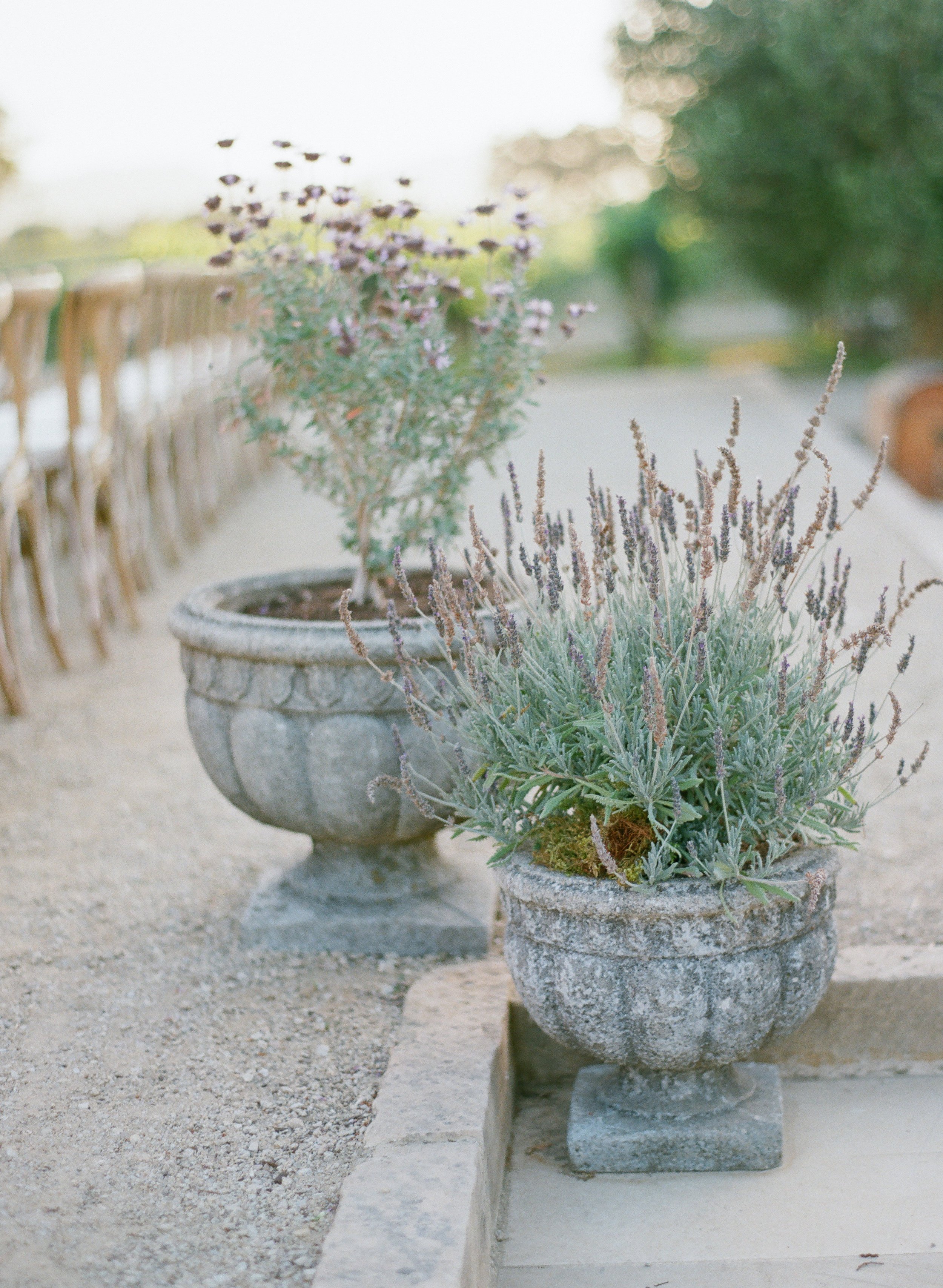 santabarbarawedding.com | Santa Barbara Wedding Style Blog | Elizabeth Messina Photography | Sunstone Villa Weddings | Merryl Brown Events | Apricot and Taupe Wedding Ideas