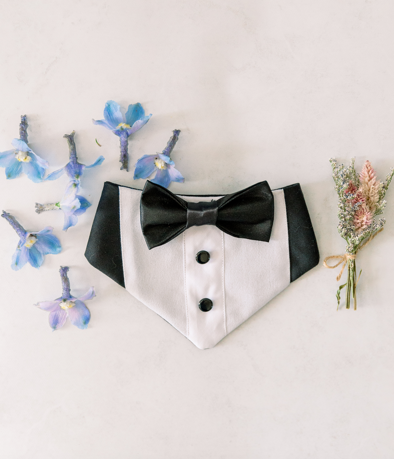 www.santabarbarawedding.com | Fig + Willow Studios | De La Vina Inn | The Twisted Twig | Groom’s Bow Tie and Florals