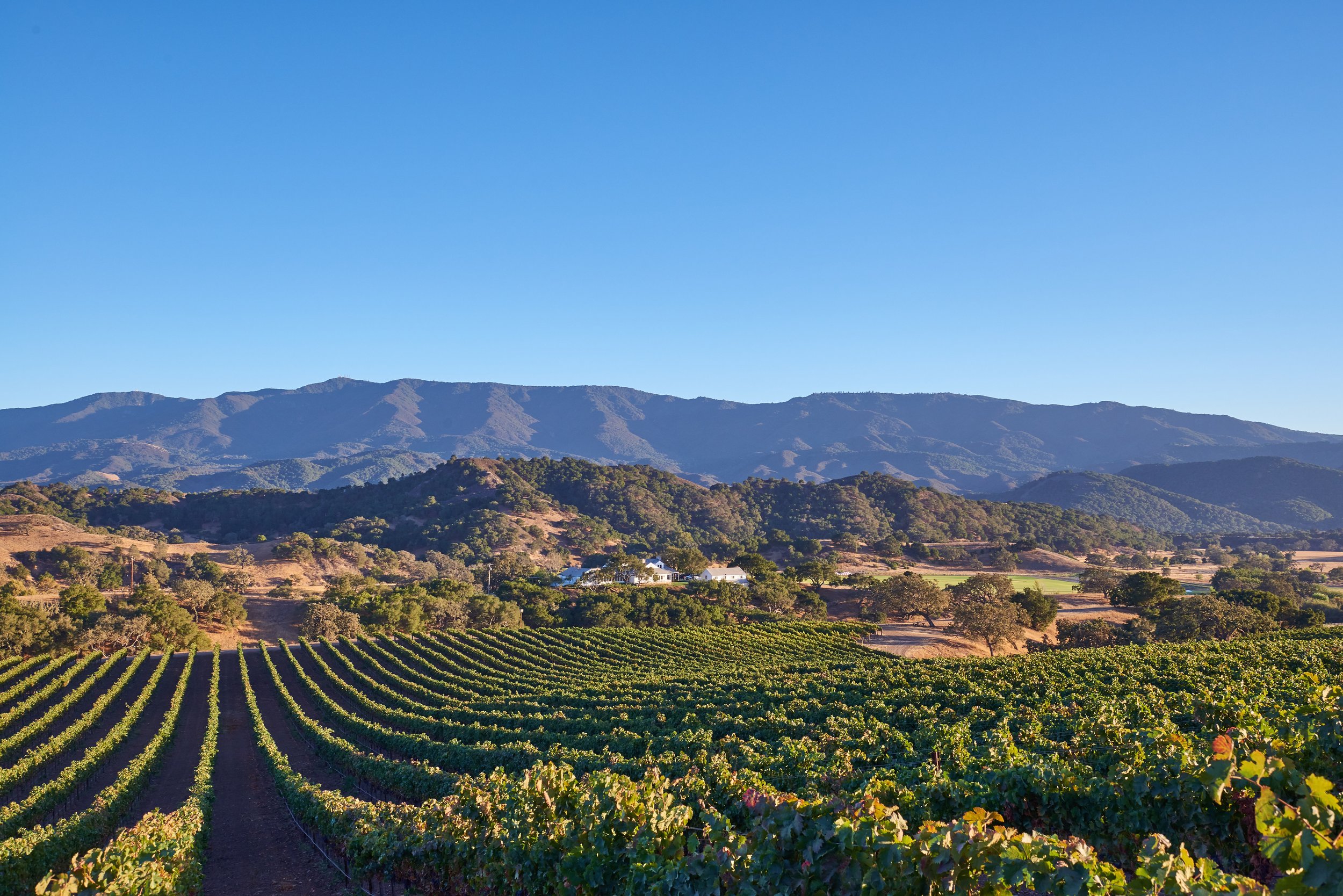 www.santabarbarawedding.com | Happy Canyon Vineyards | Rolling Hills at Venue