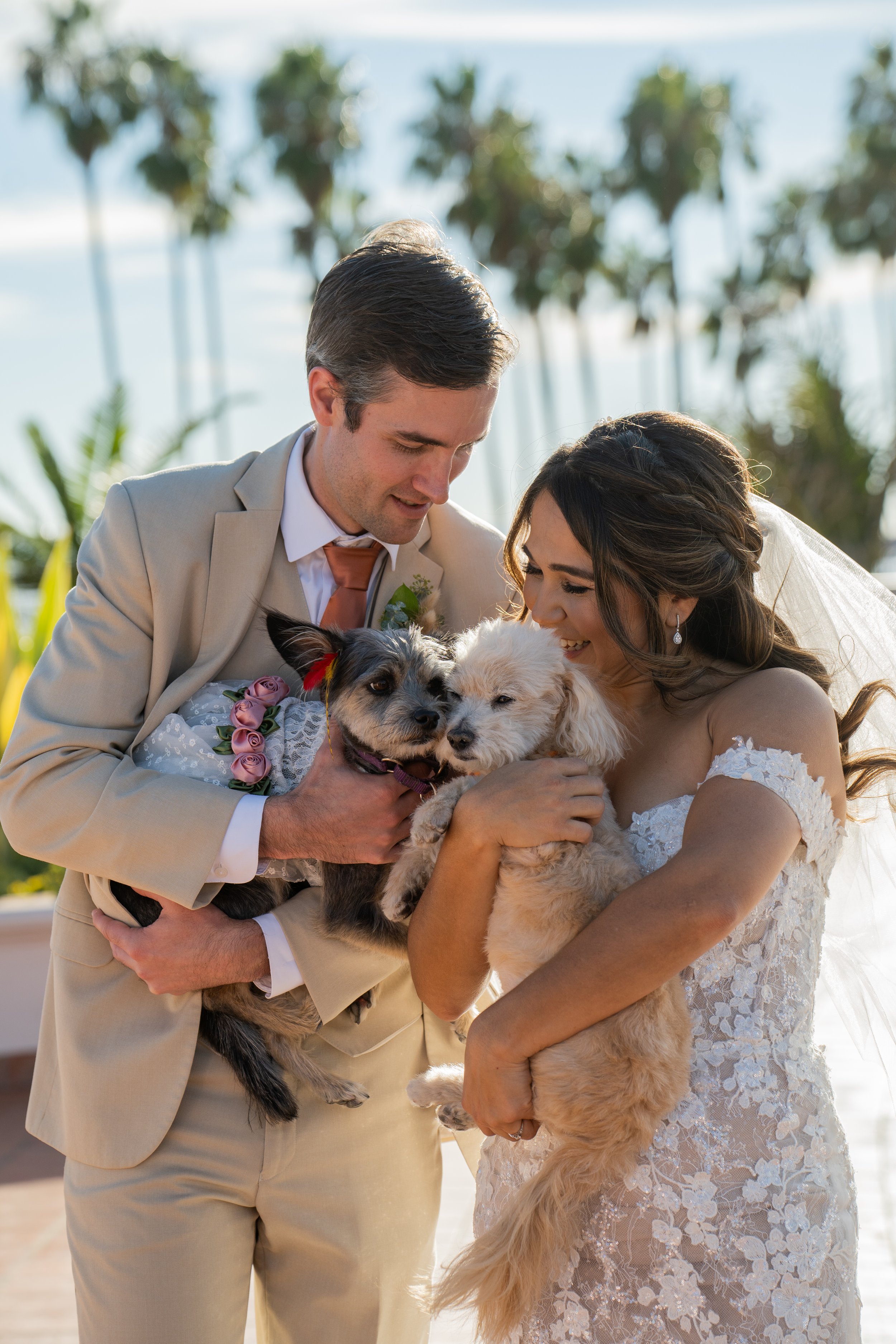 www.santabarbarawedding.com | Joyful Vows | Unitarian Society | Gatherings for Good | David’s Bridal | Salon Lucia | Men’s Wearhouse | Couple with Dogs