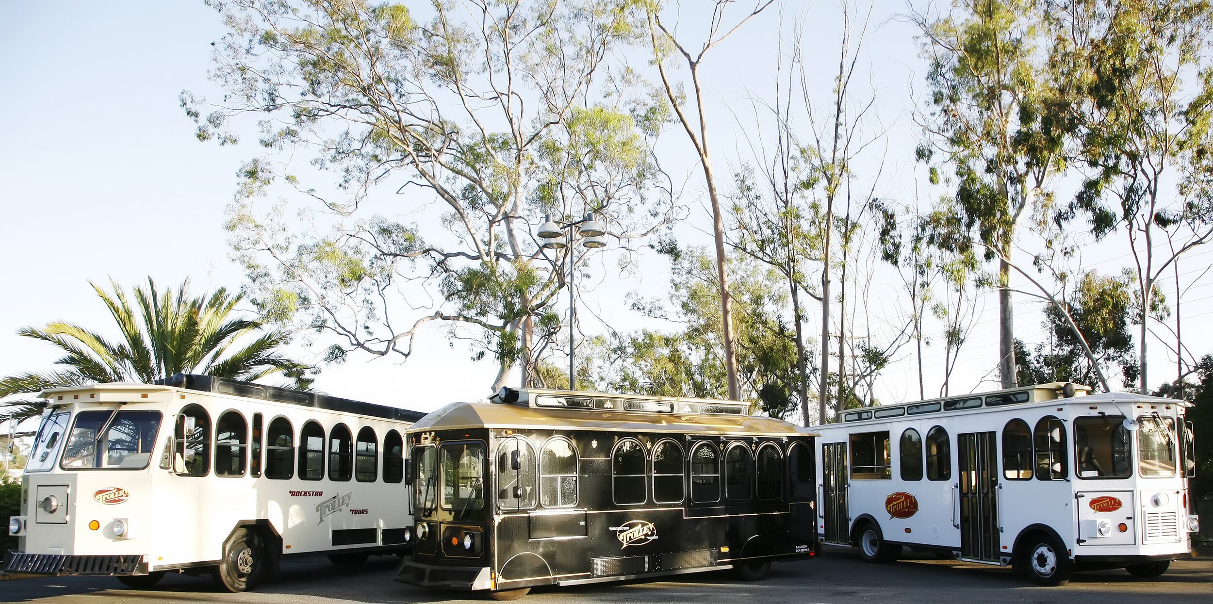 Car Free Day in Santa Barbara