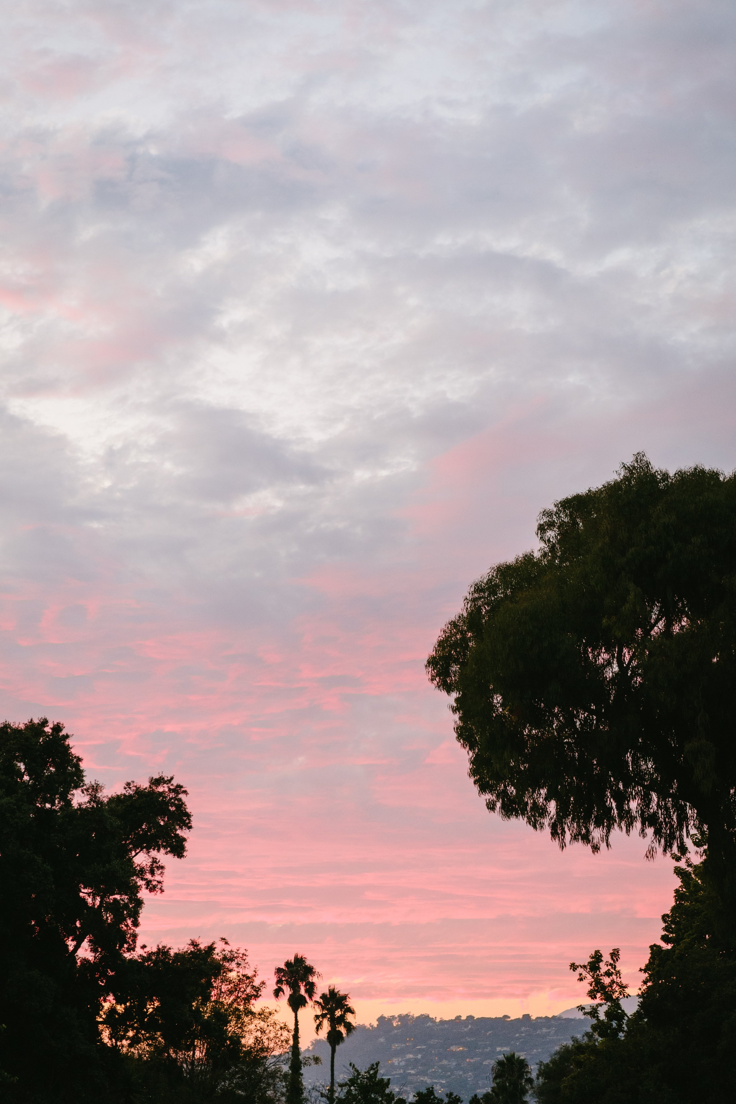 www.santabarbarawedding.com | Santa Barbara Zoo | Jodee Debes | Davia Lee | Boho Chic Dreams | Sunset at the Venue