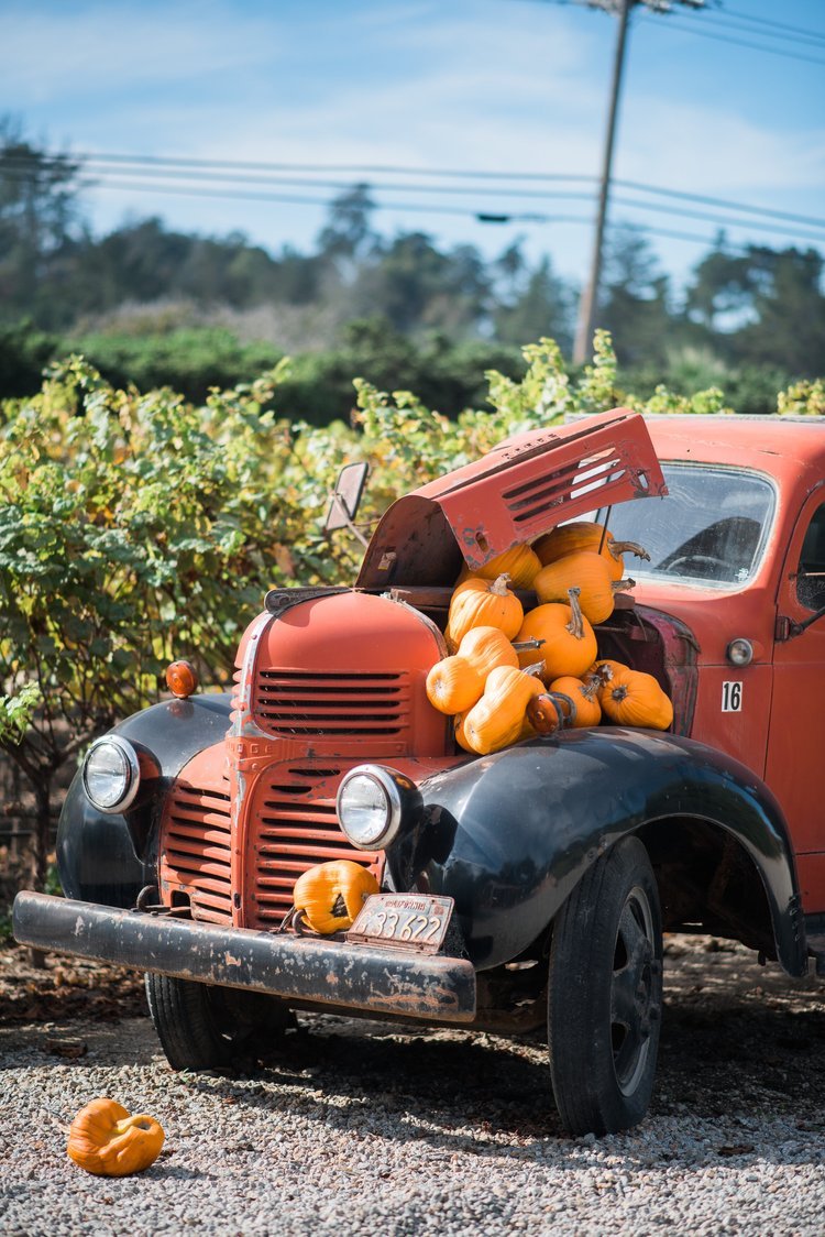www.santabarbarawedding.com | Jennifer Lourie Photography | Old Red Truck with Pumpkins On It