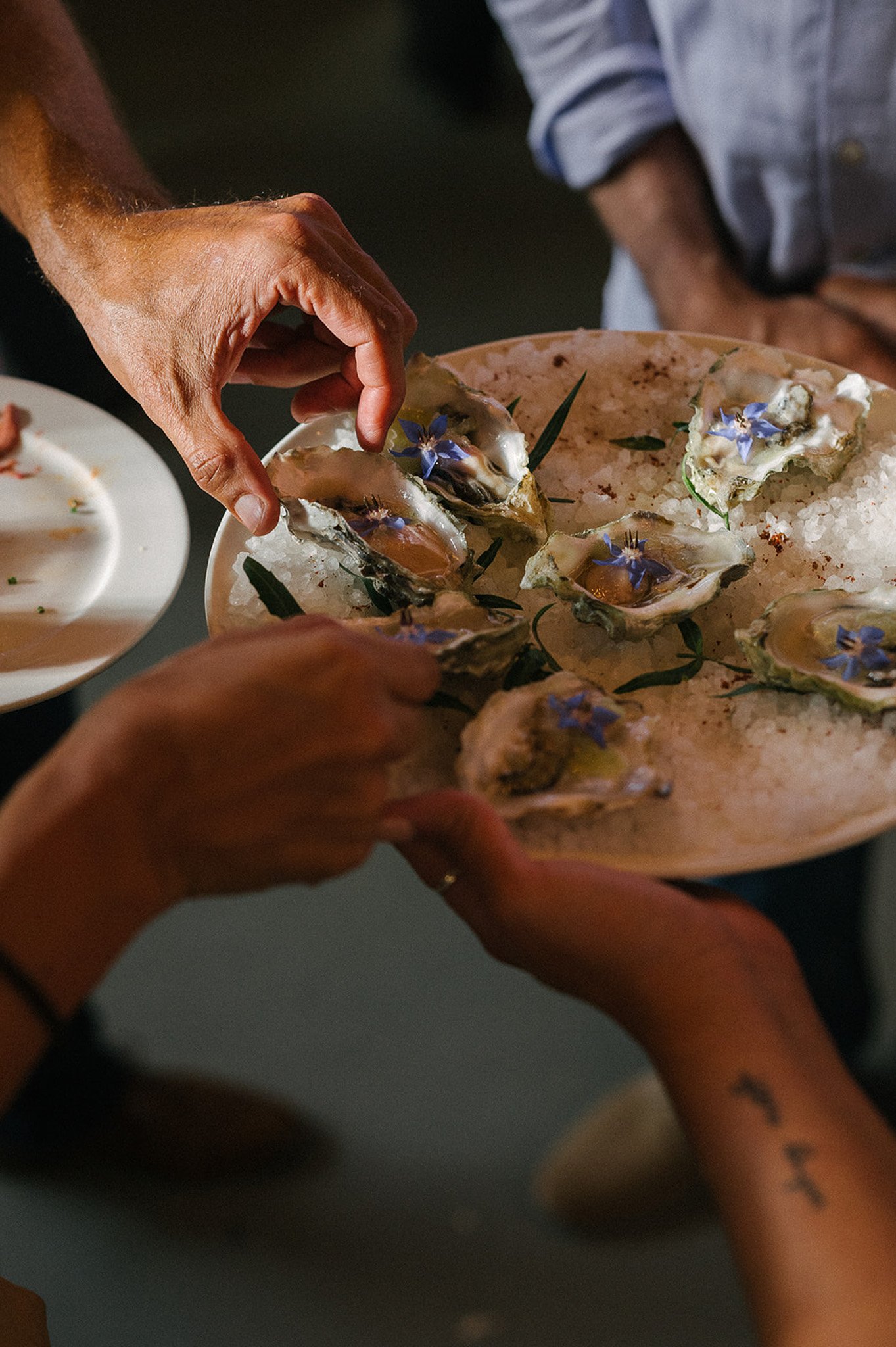 www.santabarbarawedding.com | Acme Hospitality | The Lark | Haley Garces | Guests Enjoying Oysters