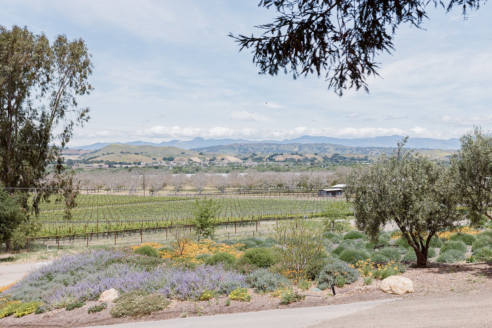 www.santabarbarawedding.com | Drake Social | Anna Delores Photography | View from the Private Estate