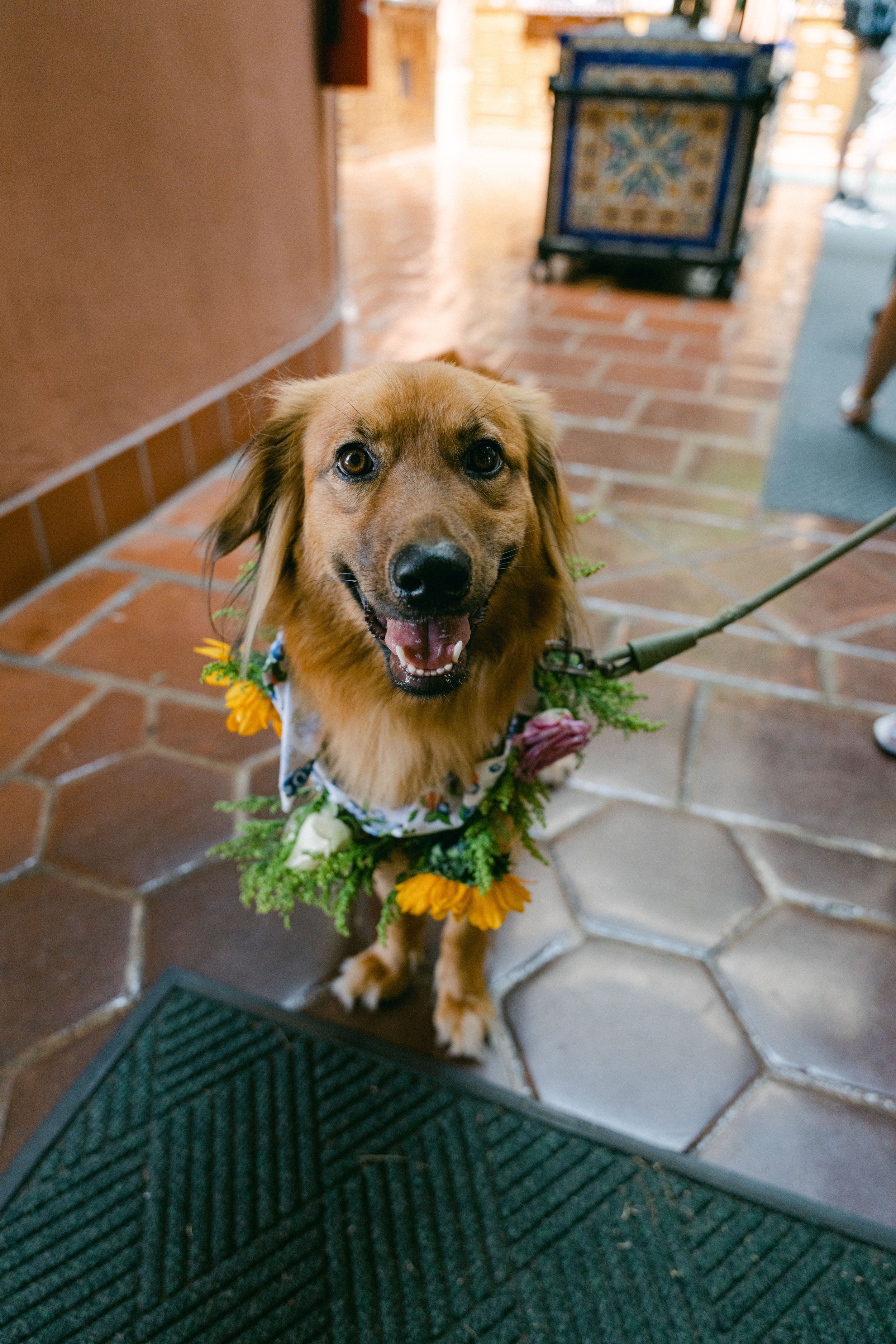 www.santabarbarawedding.com | Santa Barbara Courthouse | The Bomani’s | Couple’s Dog Dressed in Flower Necklace