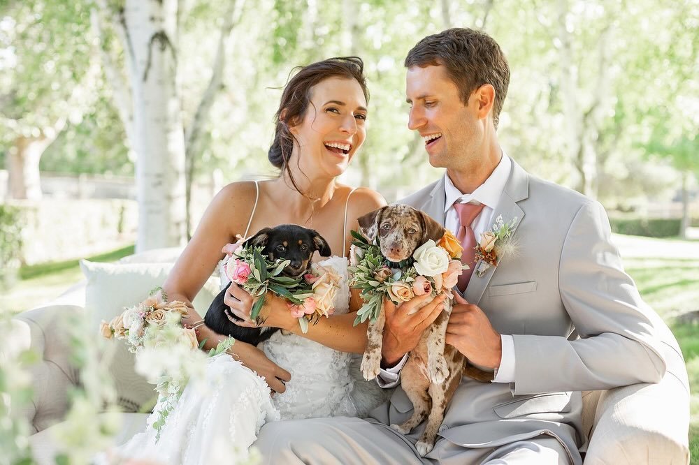 Celebrating National Dog Mom Day with the very talented @veilstailsphoto ❤️

With their keen eye for detail and genuine passion for animals, @veilstailsphoto specializes in creating stunning, heartwarming images that perfectly encapsulate the love sh
