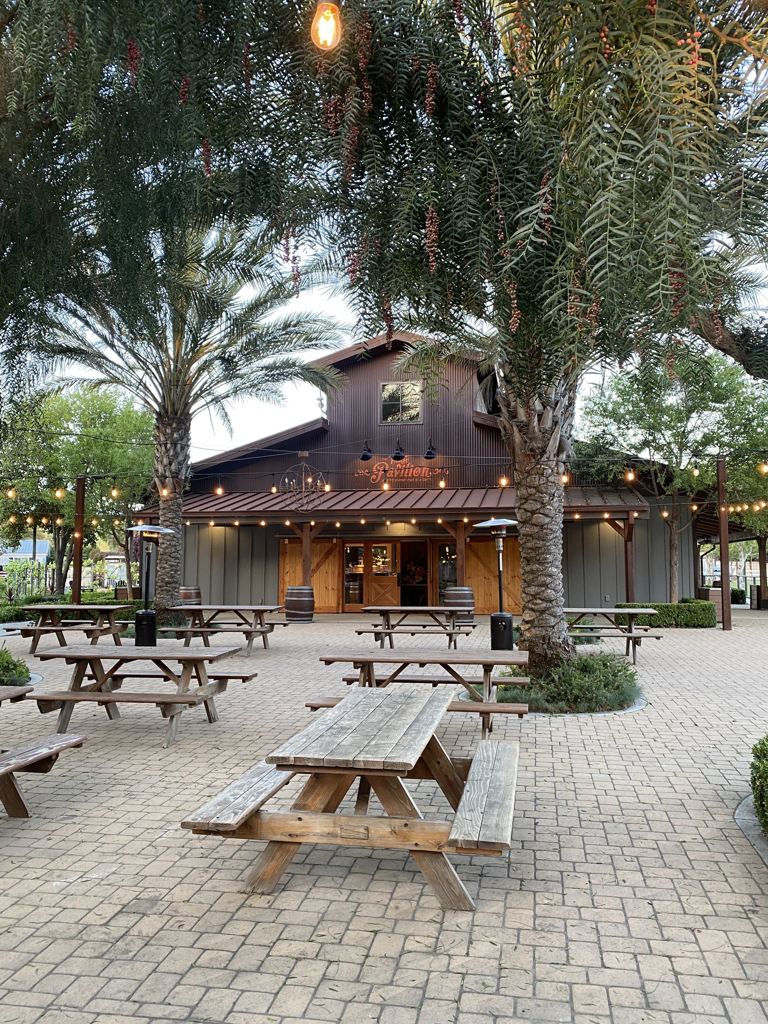 1 the pavilion patio flying flags.JPEG