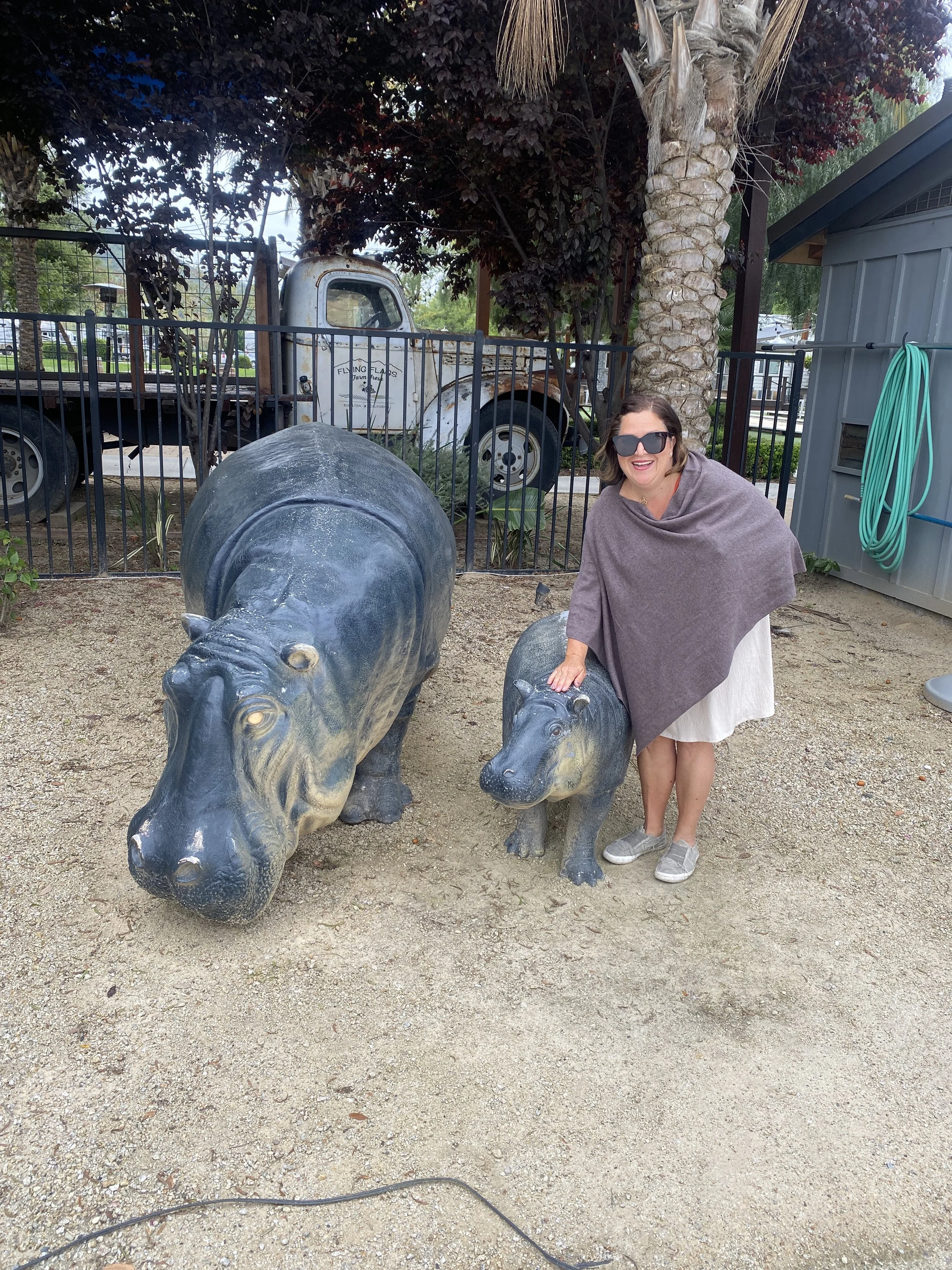 7 zohe and the rhinos flying flags.JPEG