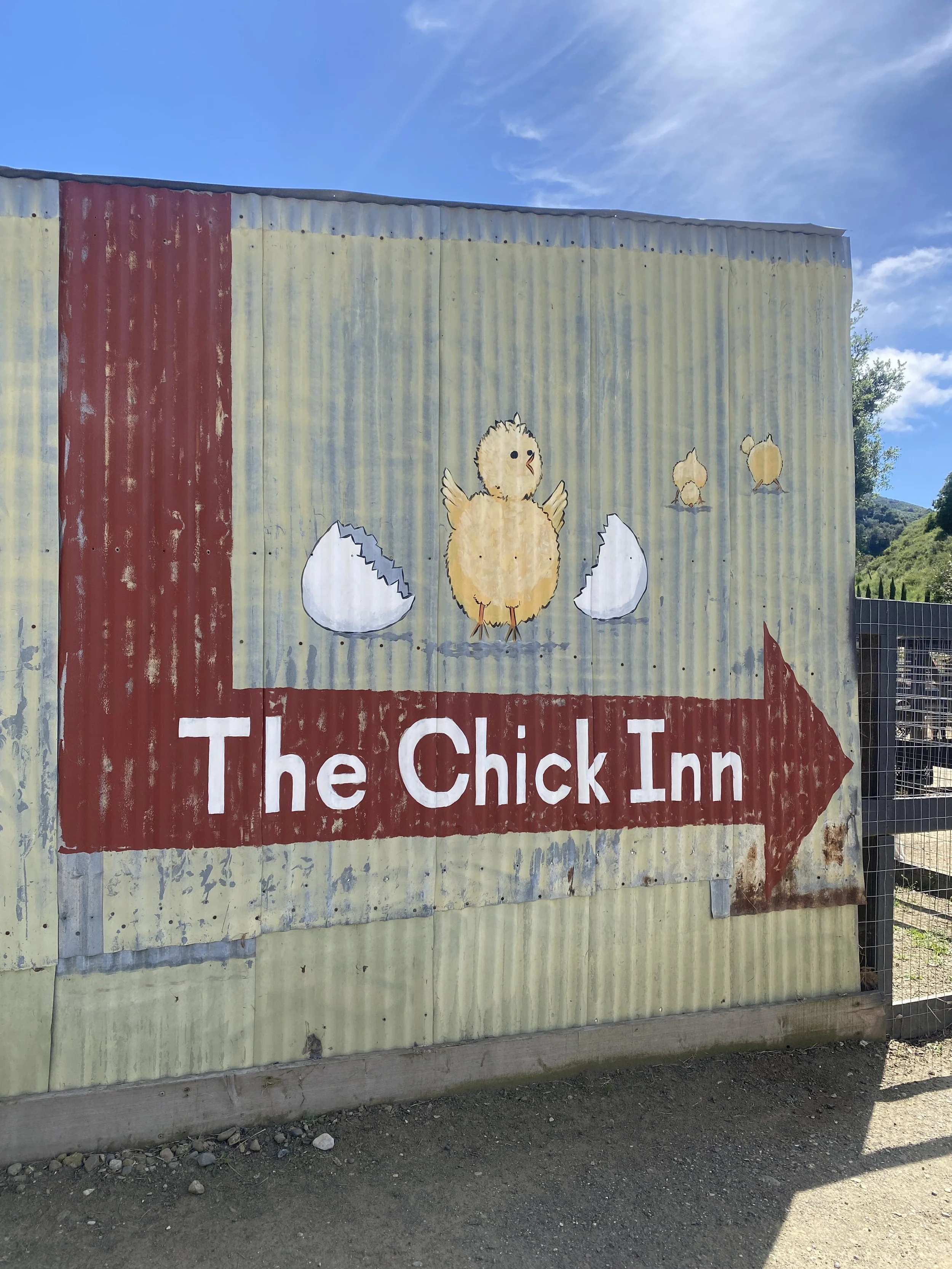 16 chick inn vega vineyard.JPEG
