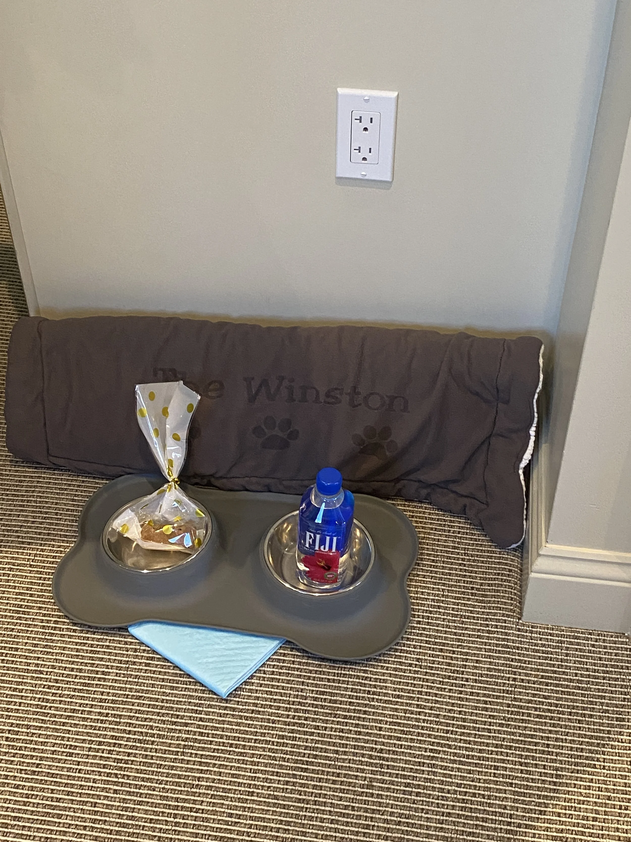 34 Pet Friendly The Winston.JPG