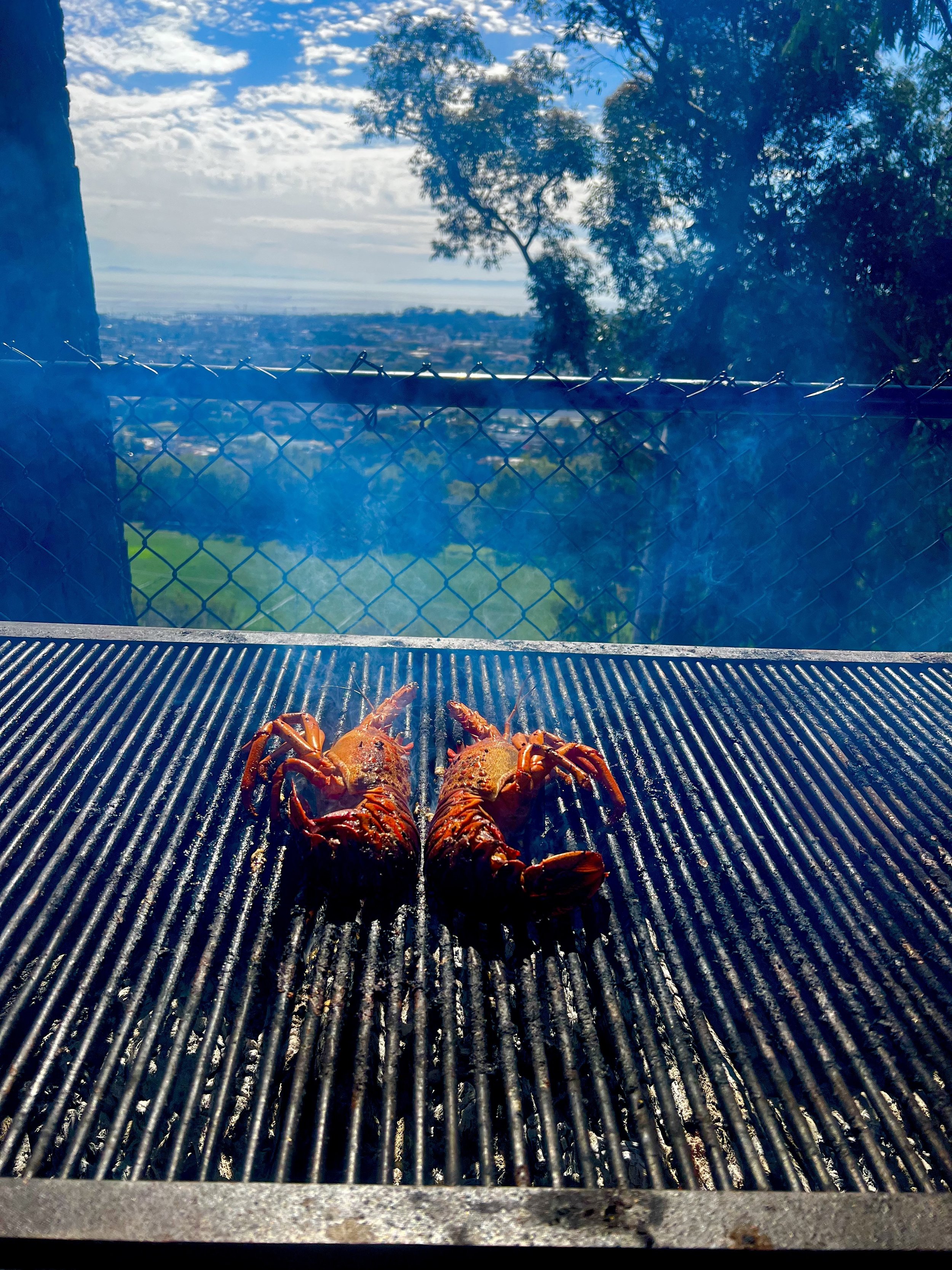 Oak and Fire | Santa Barbara Wedding Style