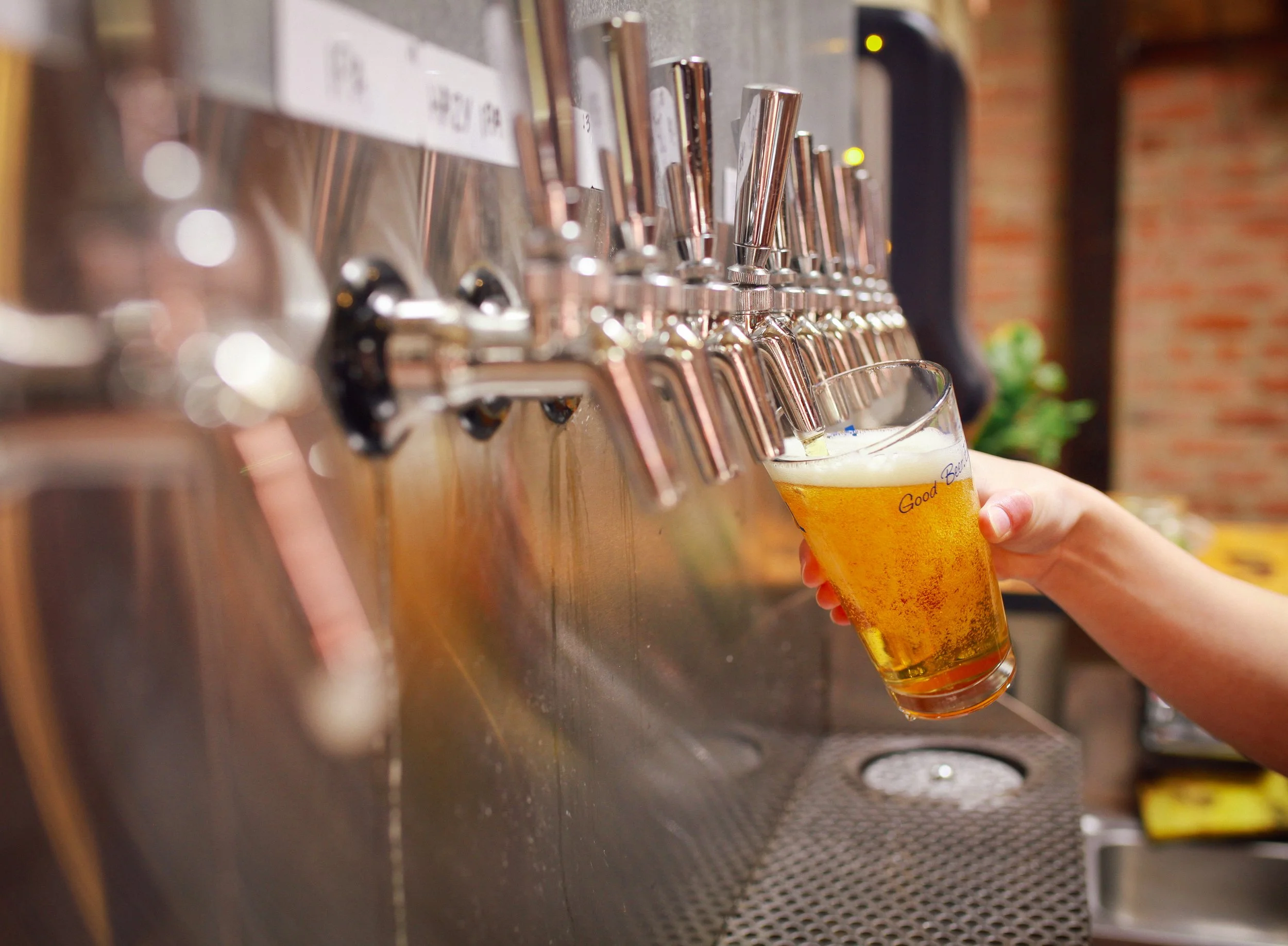 National Beer Day: Exploring Santa Barbara’s Breweries