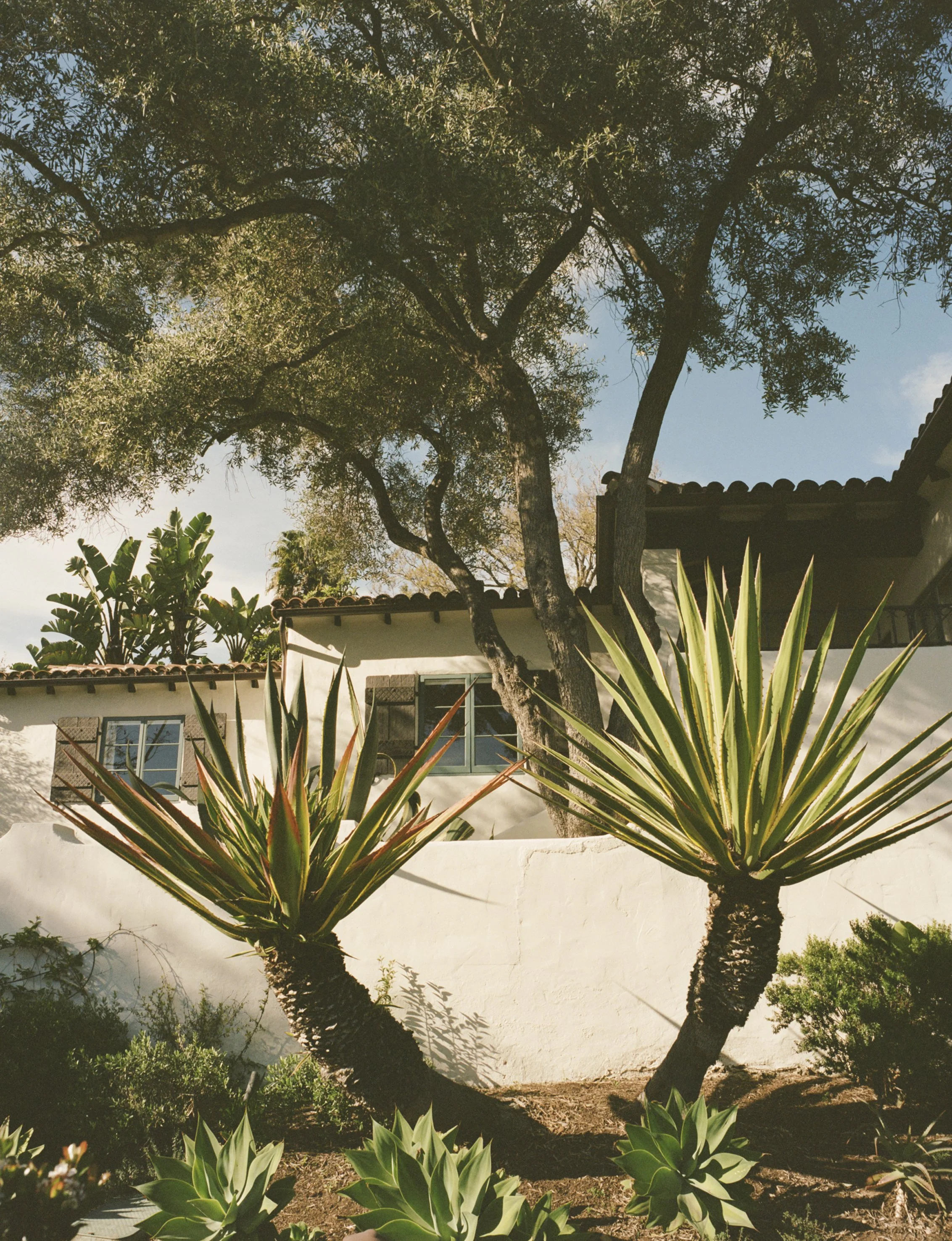 El Encanto | Santa Barbara Wedding Style 
