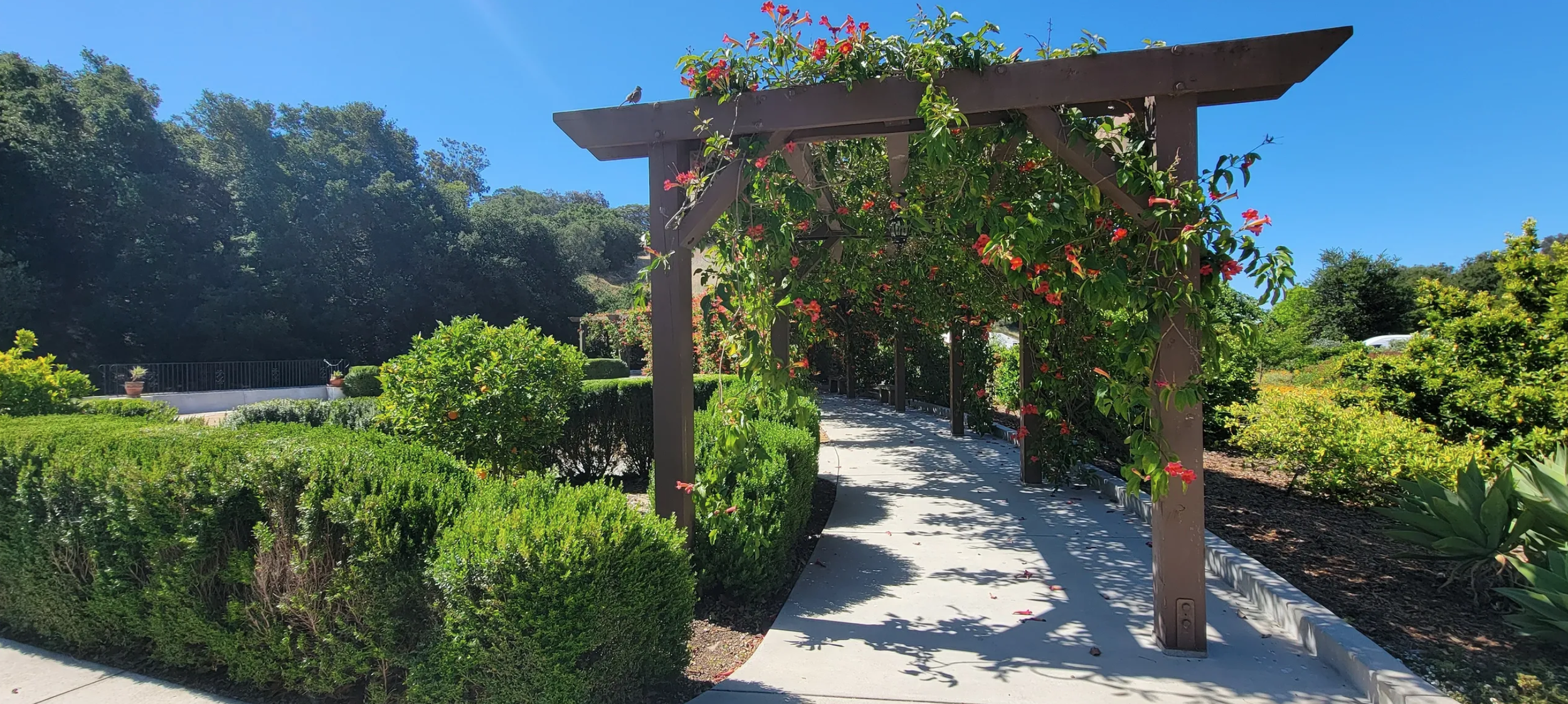www.santabarbarawedding.com | Alpha Resource Center Imagine Park &amp; Serenity Garden | Santa Barbara Outdoor Wedding and Event Venue