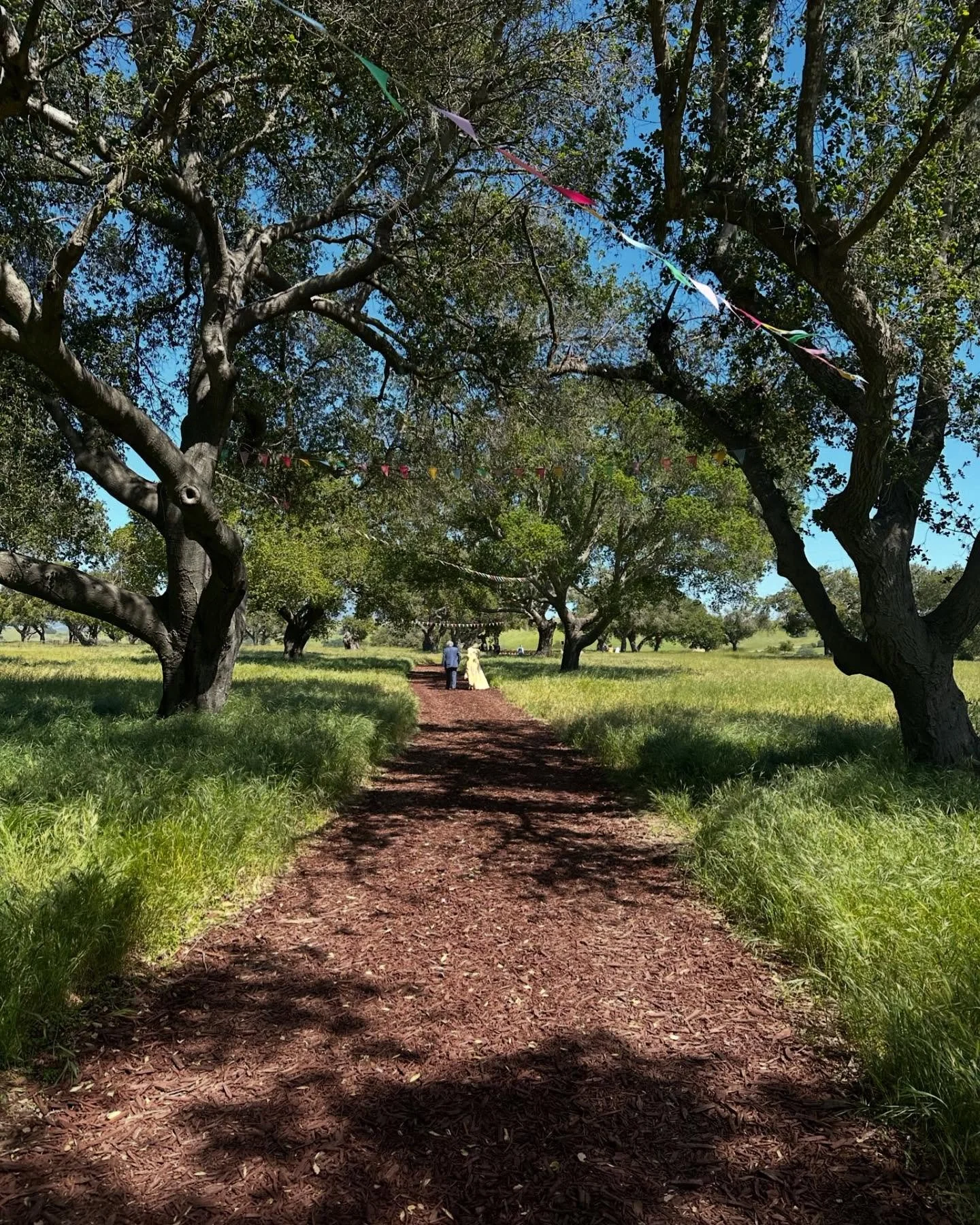 www.santabarbarawedding.com | Camp Carmina | Santa Barbara Wedding & Event Venue
