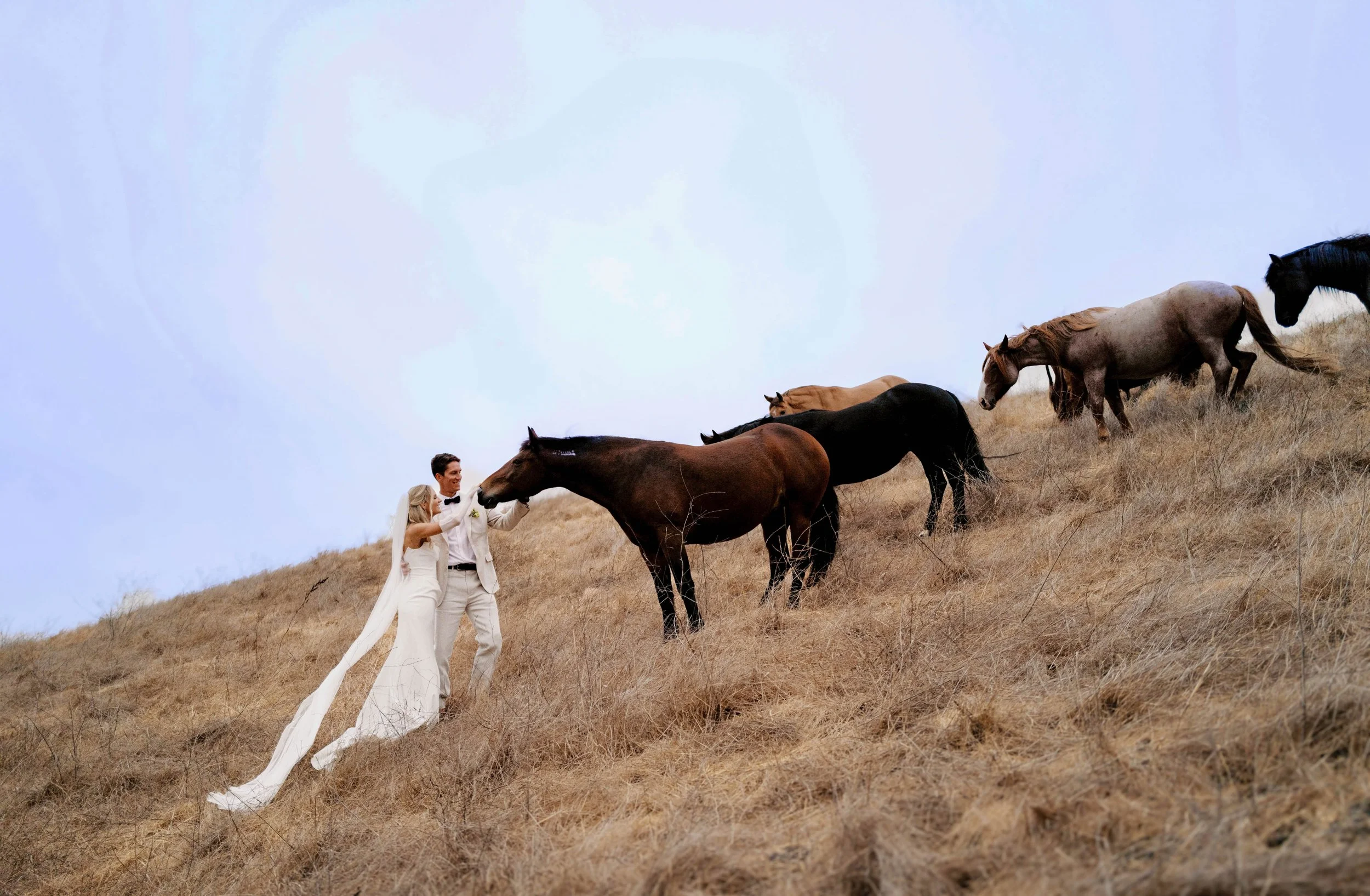 Las Cumbres Ranch | santabarbarawedding.com