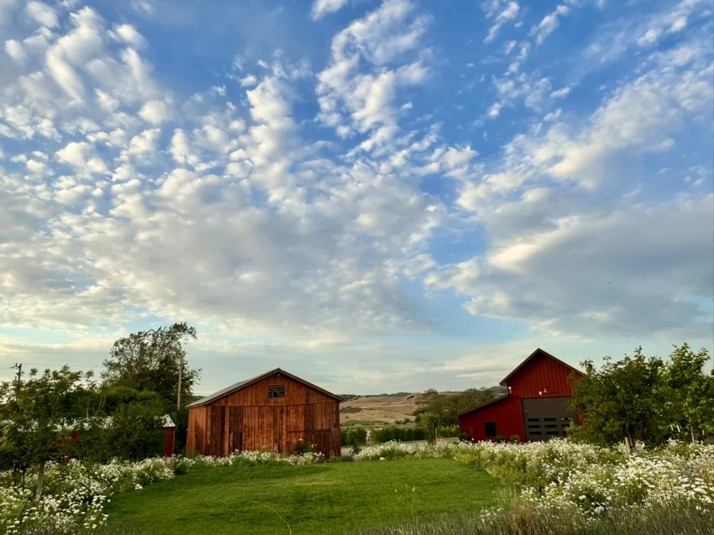 Las Cumbres Ranch | santabarbarawedding.com