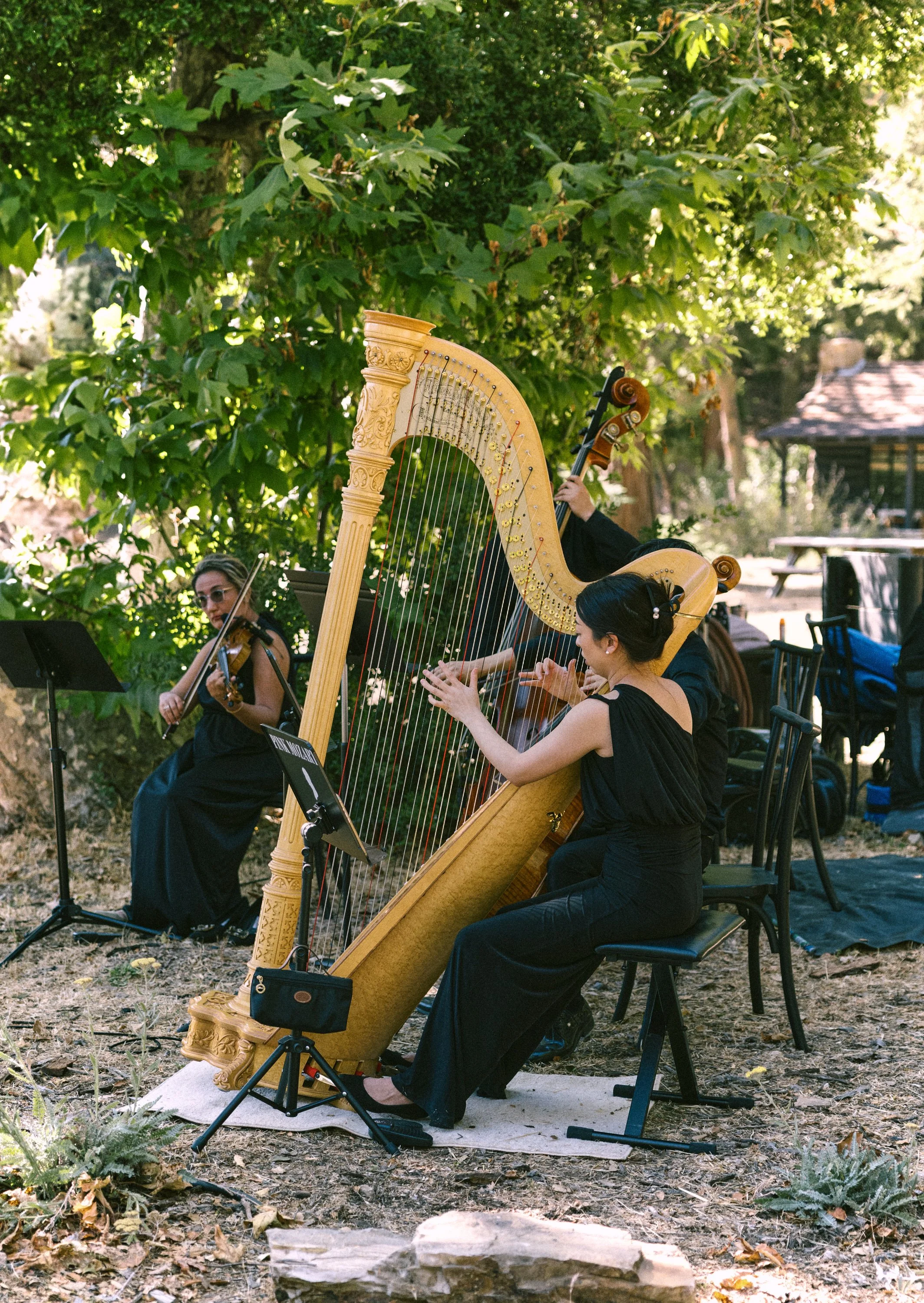 www.santabarbarawedding.com | Zaca Lake | Laine Palm Planning | Alanna Durkee | Brophy Blooms | SYV Elite Events | Pink Mozart | Quartet at Ceremony