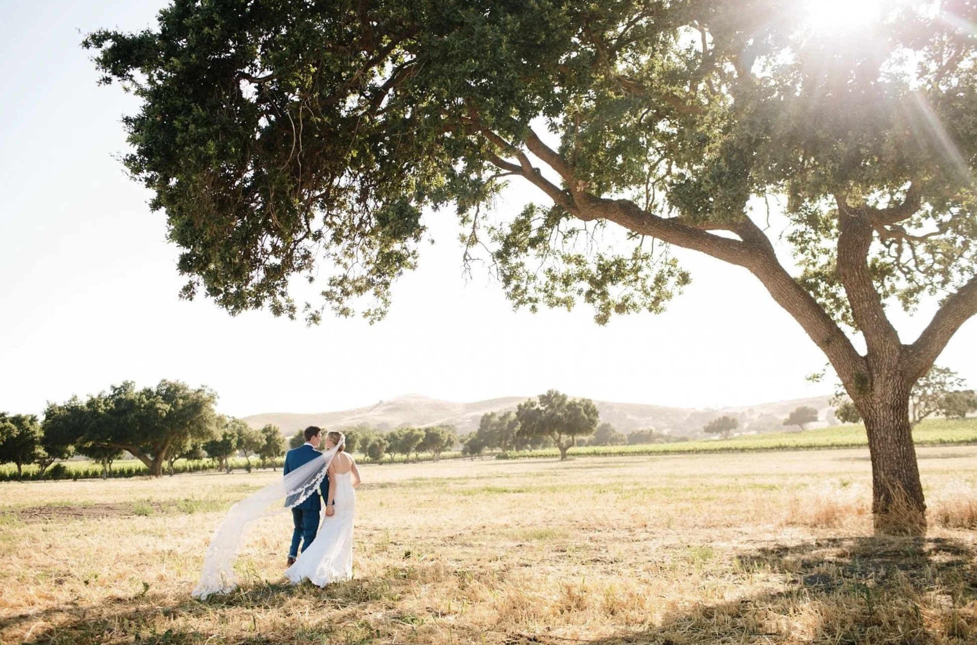 Camp Carmina | www.santabarbarawedding.com 