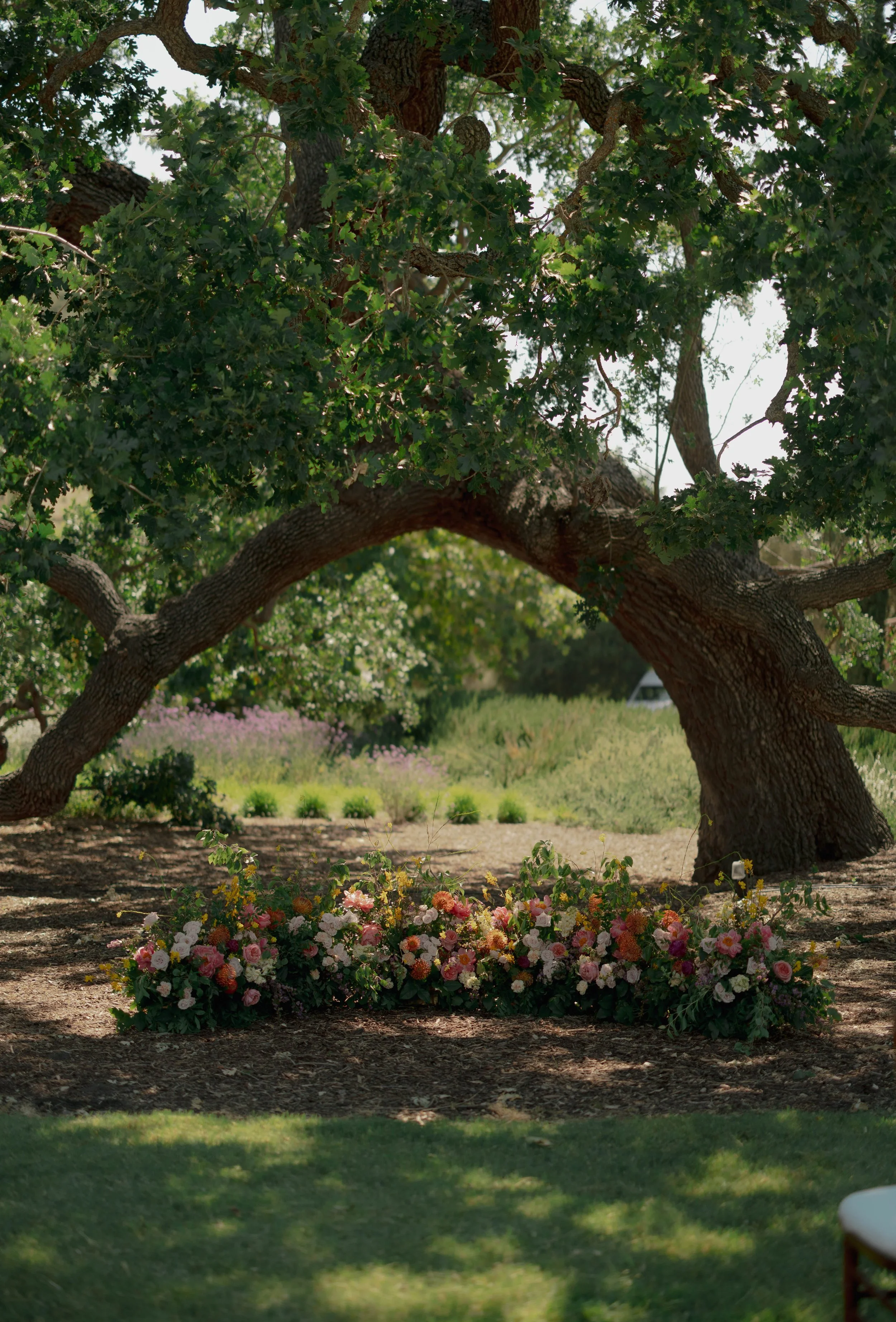 www.santabarbarawedding.com | Bliss Productions | Breahna Taylor | La Taranntella | Bright Floral | Marla Hair &amp; Makeup | Town and Country Event Rentals | The Ceremony Location