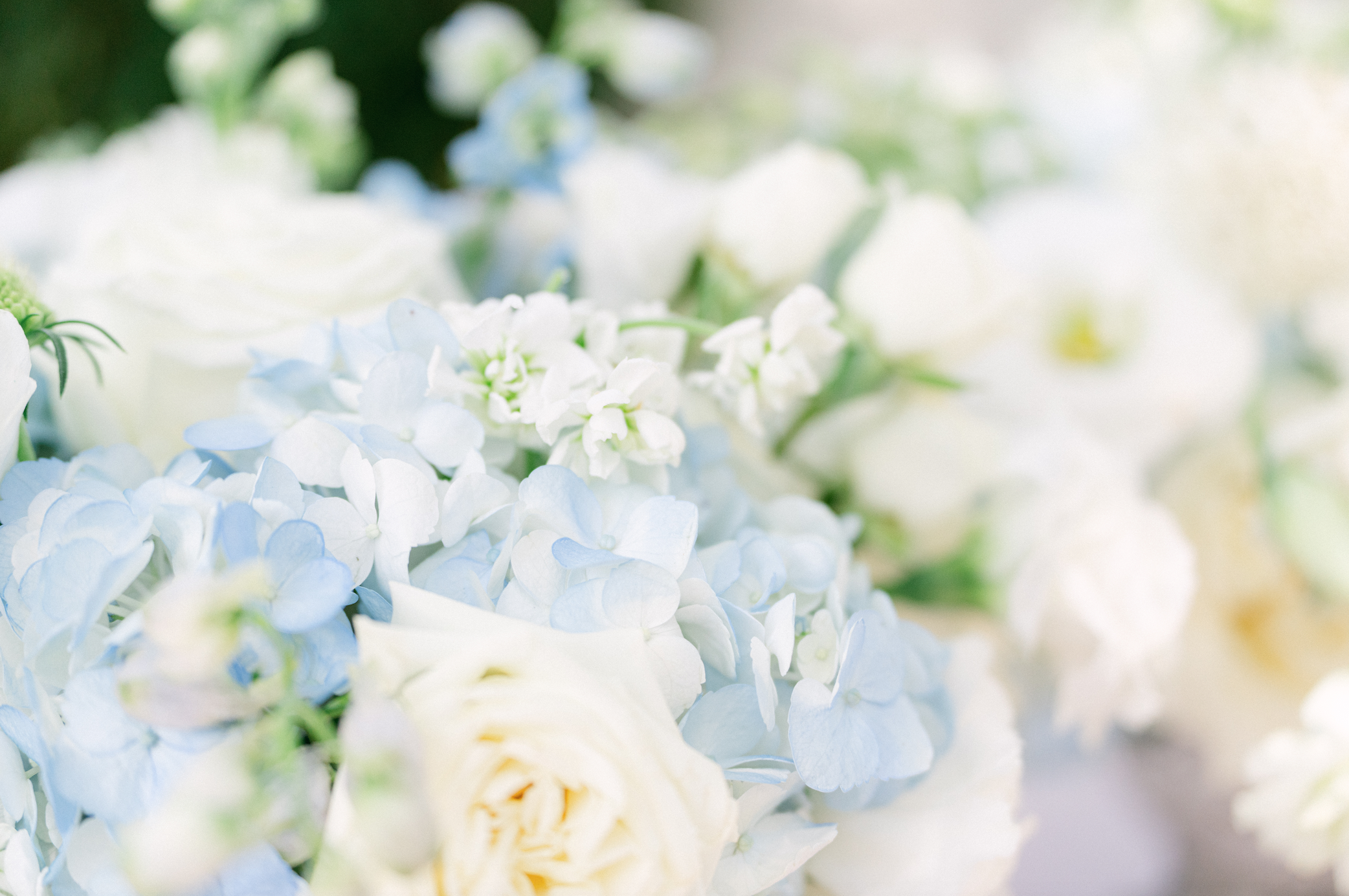 www.santabarbarawedding.com | Magnolia West | Alpha Floral | Islay Gardens | Tea and Time | Reve Macarons | The Social Vows | Taylor Design Studio | Alpha Floral | Tea Party