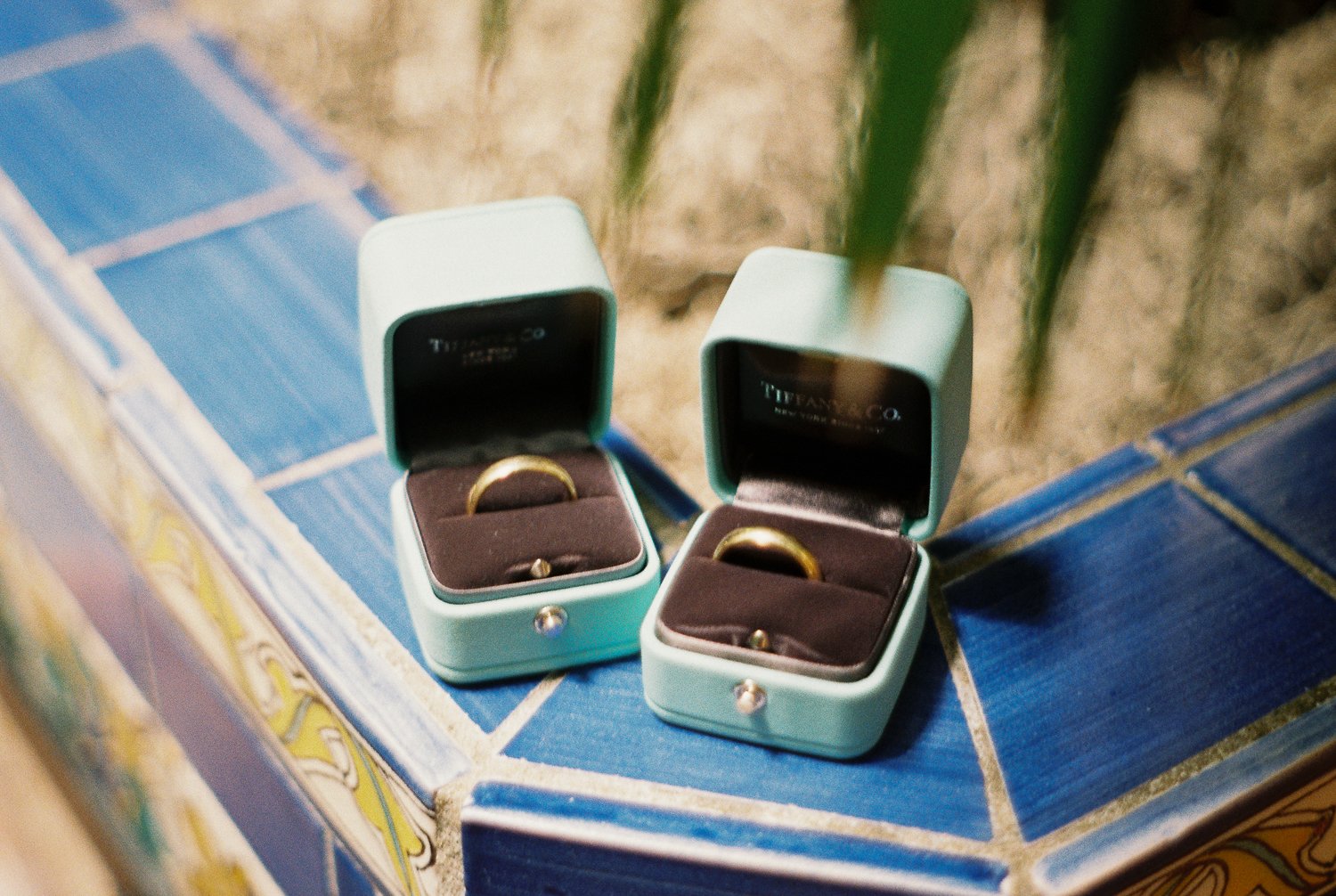 www.santabarbarawedding.com | Holly Castillo | Santa Barbara Courthouse | LGBTQ+ Wedding at the Courthouse