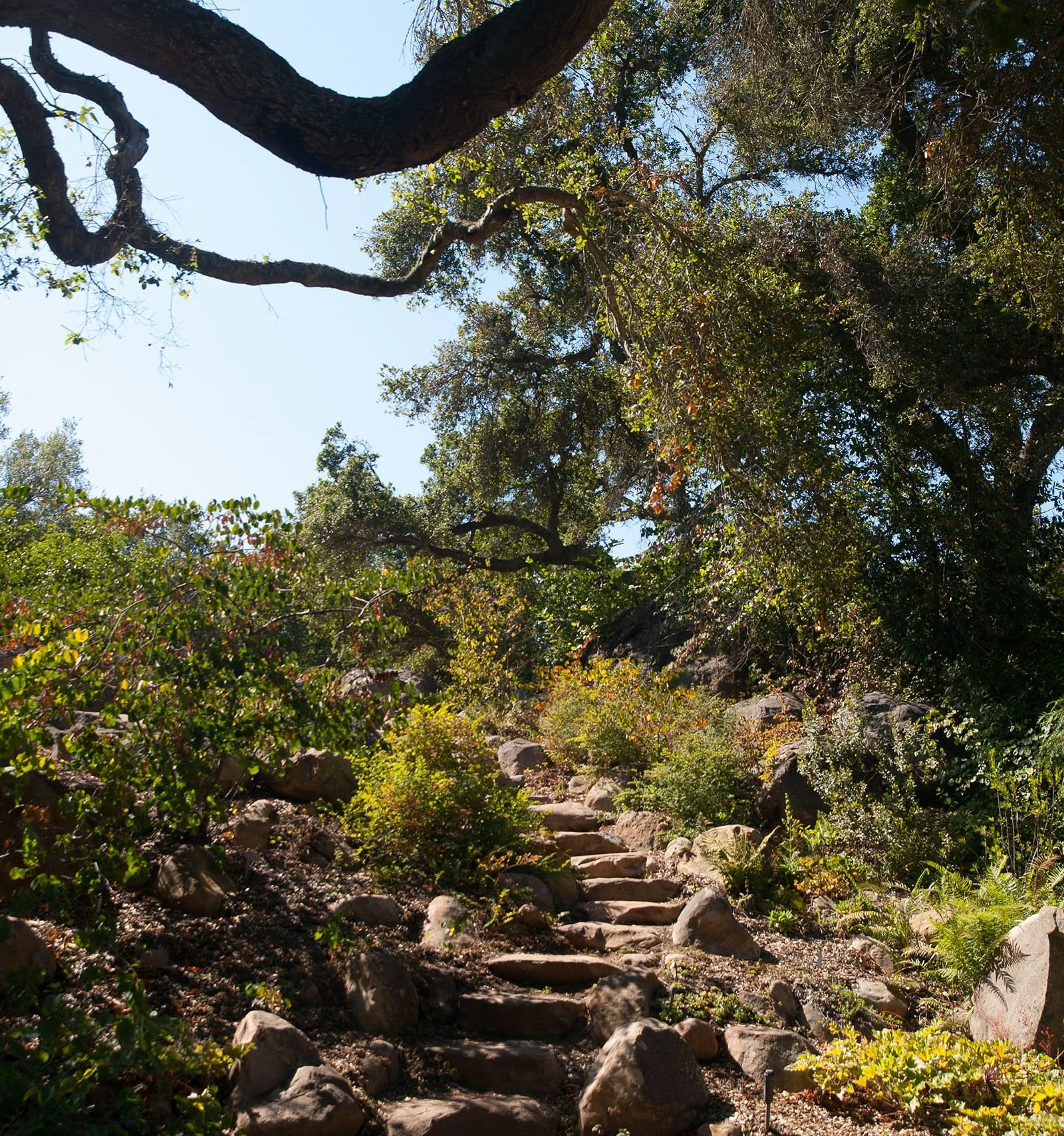 www.santabarbarawedding.com | Santa Barbara Botanic Garden | Santa Barbara Wedding Weekend Activities 