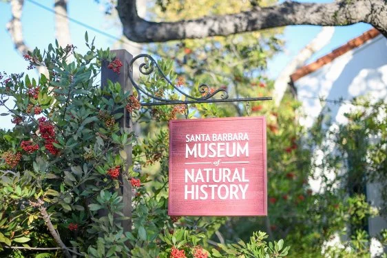 www.santabarbarawedding.com | Santa Barbara Museum of Natural History | Santa Barbara Wedding Weekend Activities 