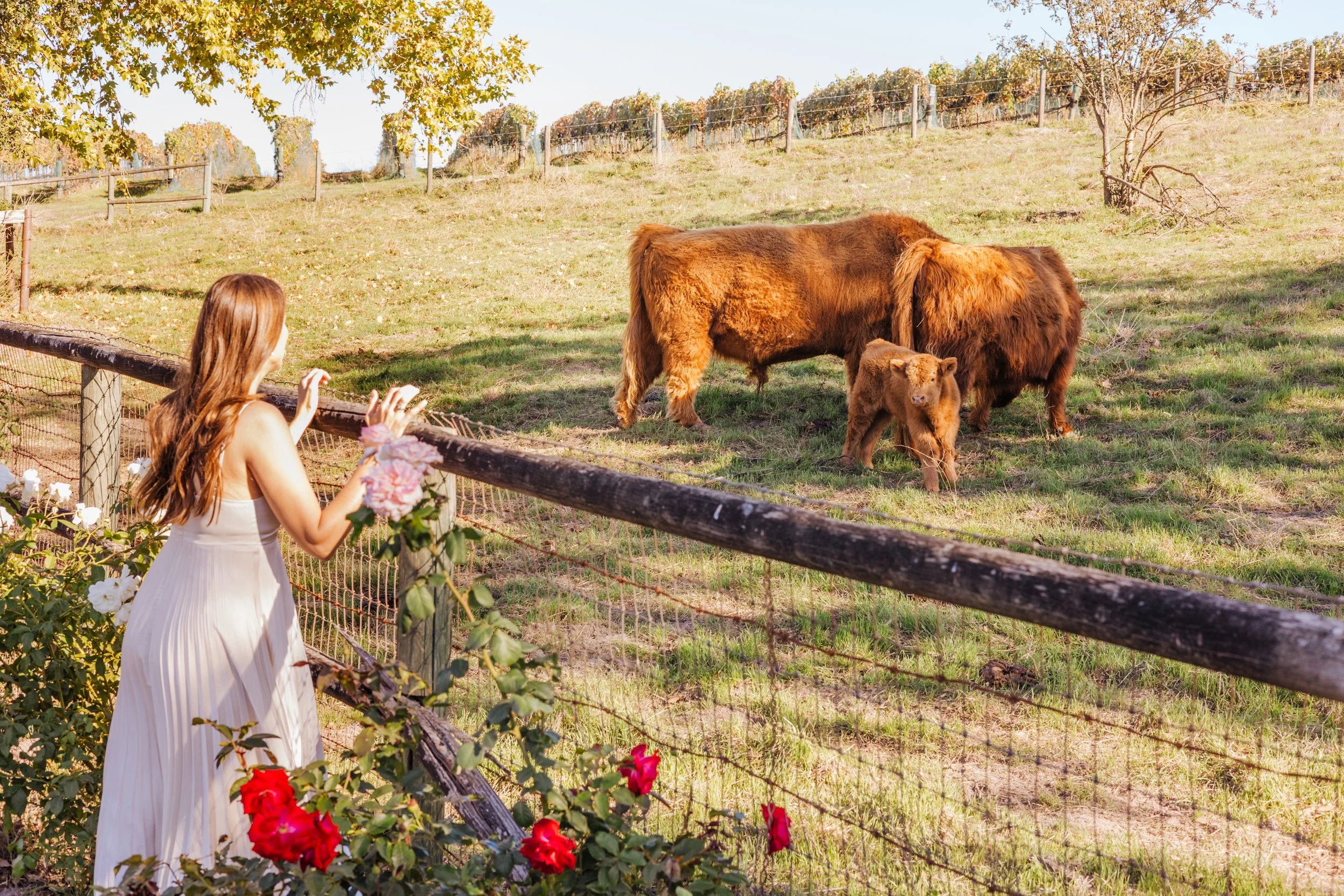 www.santabarbarawedding.com | Allie Dearie Photography | Ella &amp; Louie Florals | The Inn at Mattei’s Tavern | Dovecote Estate Winery | Private Santa Barbara Elopement