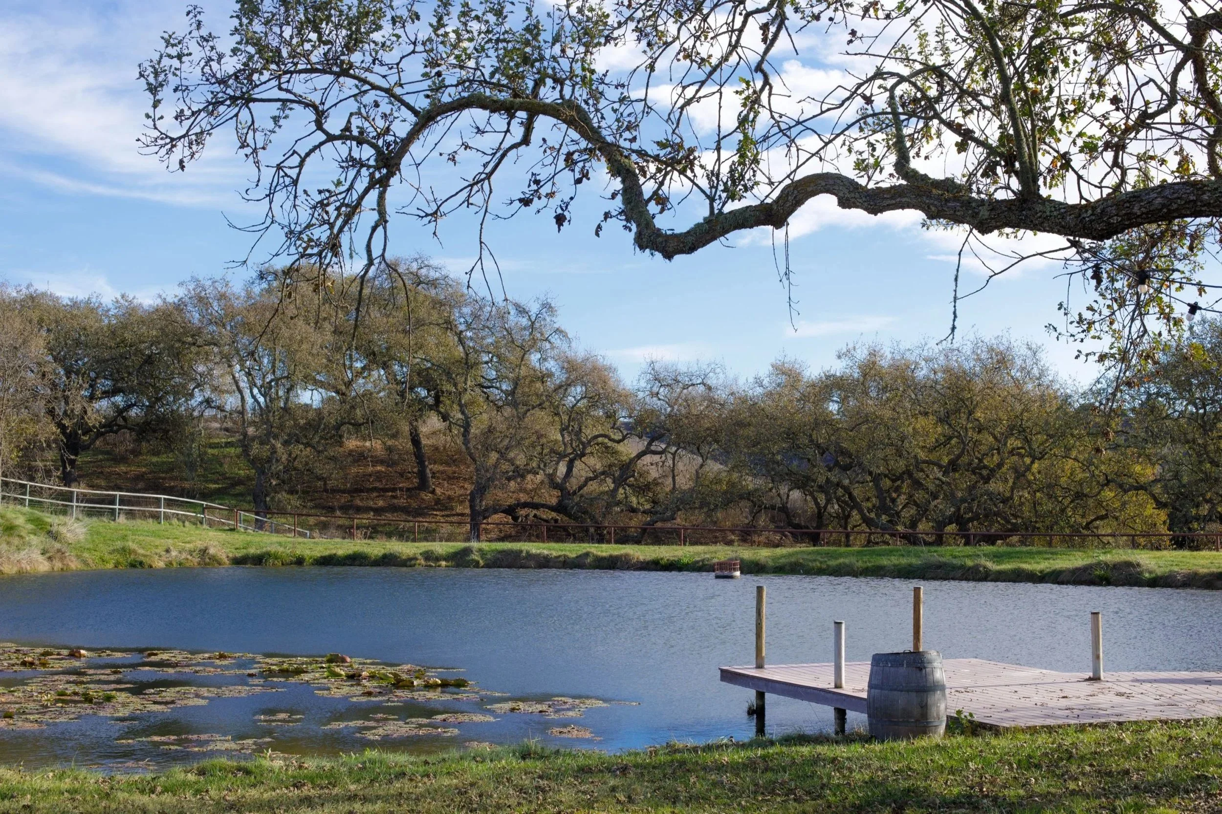 Dovecote Estate Winery &amp; Ranch