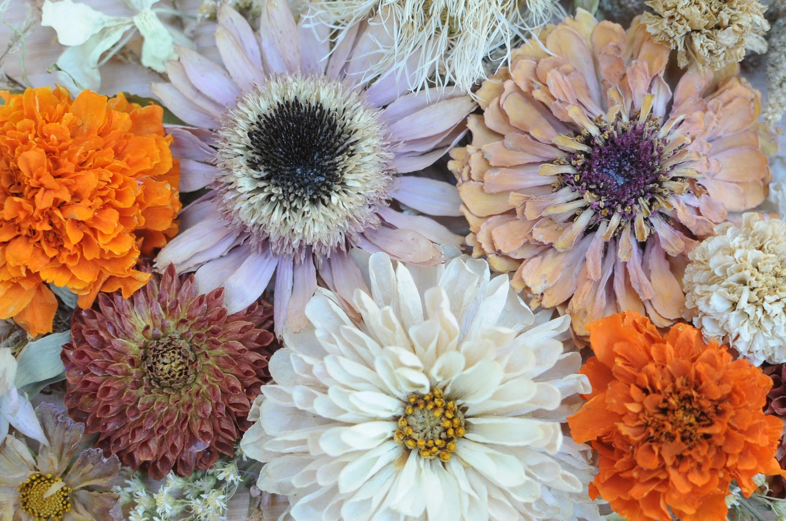 www.santabarbarawedding.com | Beheld Blooms