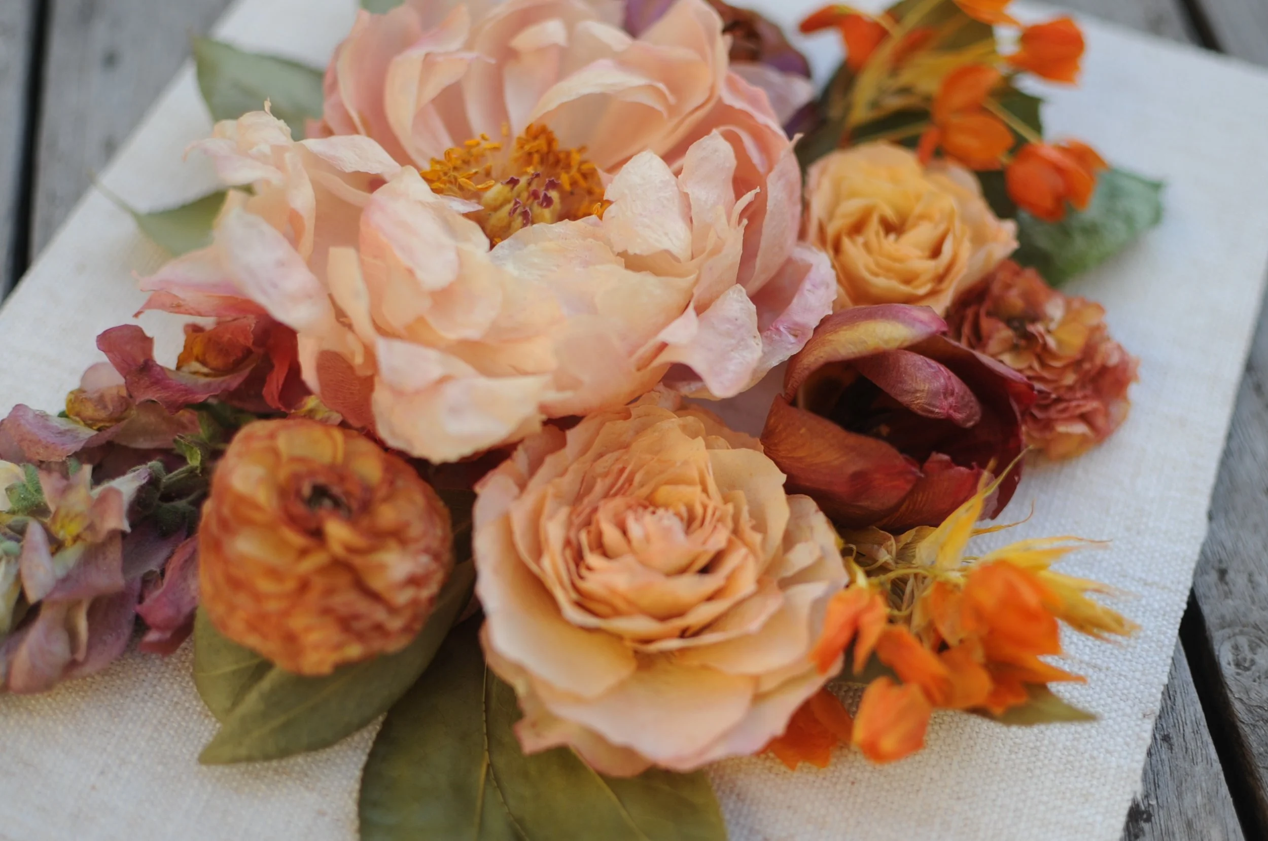 www.santabarbarawedding.com | Beheld Blooms