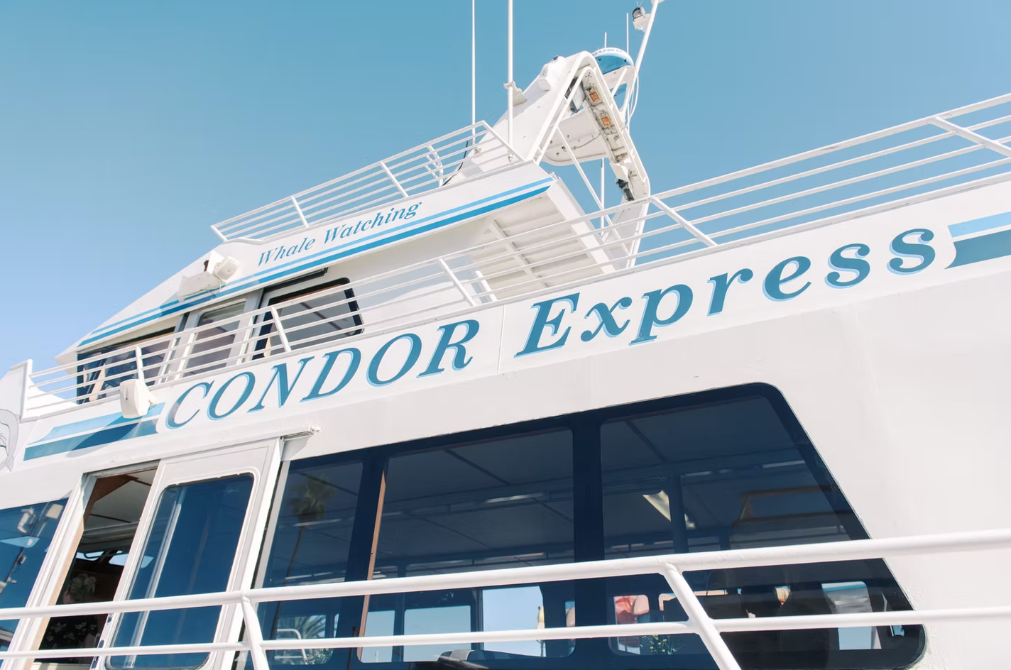 The Condor Express wedding boat