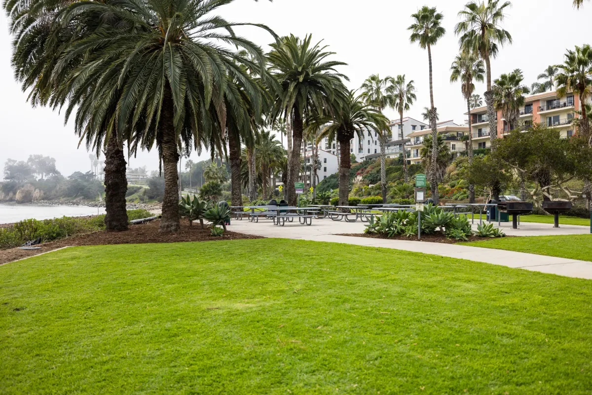Leadbetter beach picnic area