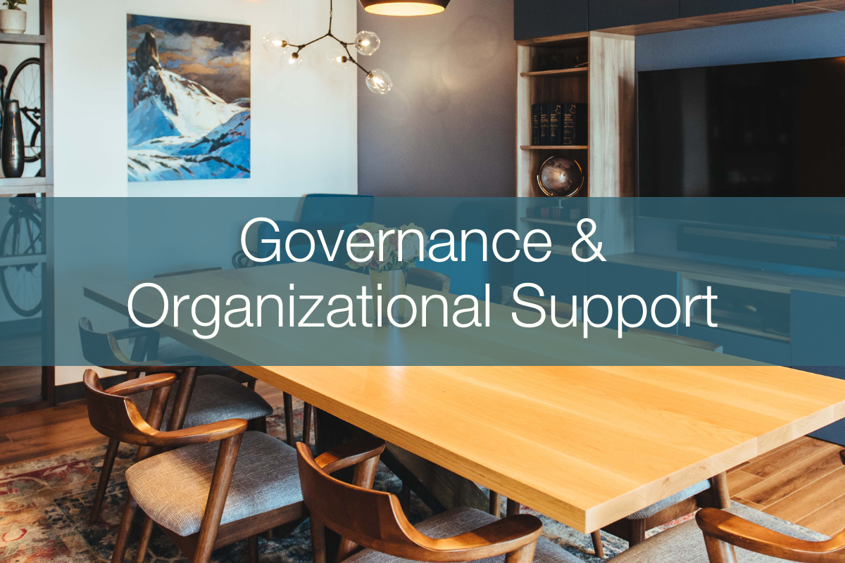 Governance & Organizational Support.png