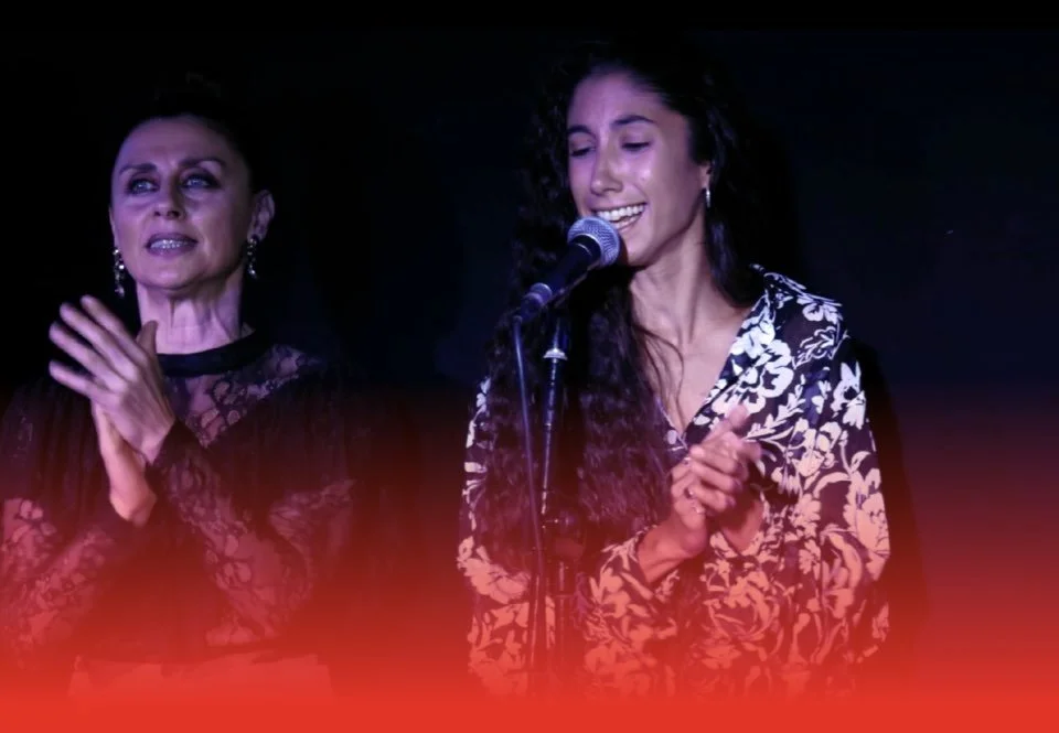 Flamenco art in the cinema