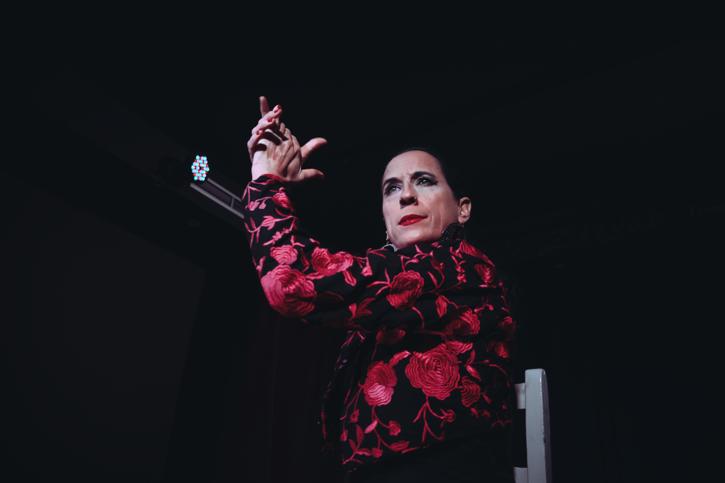 sarini nieto